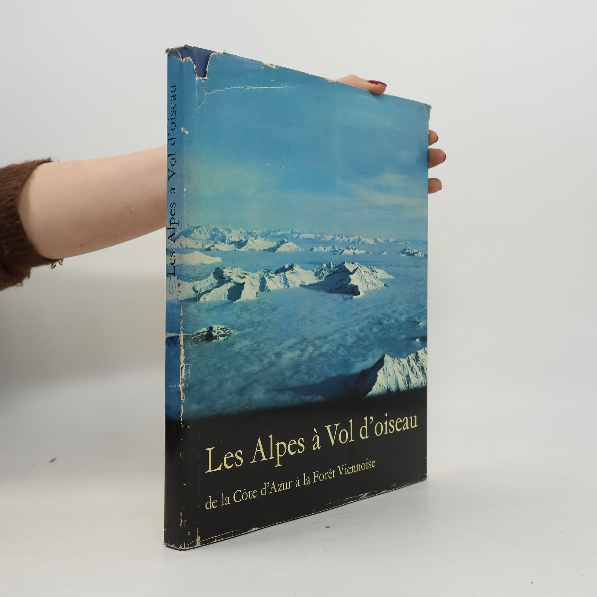 AA.VV. Les Alpes a Vol d'oiseau