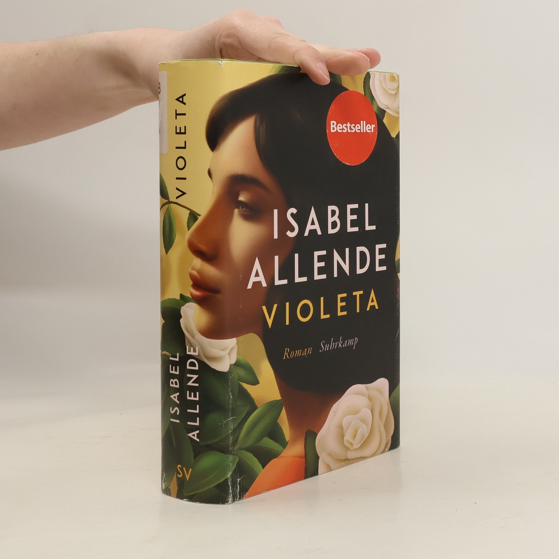 Isabel Allende Violeta