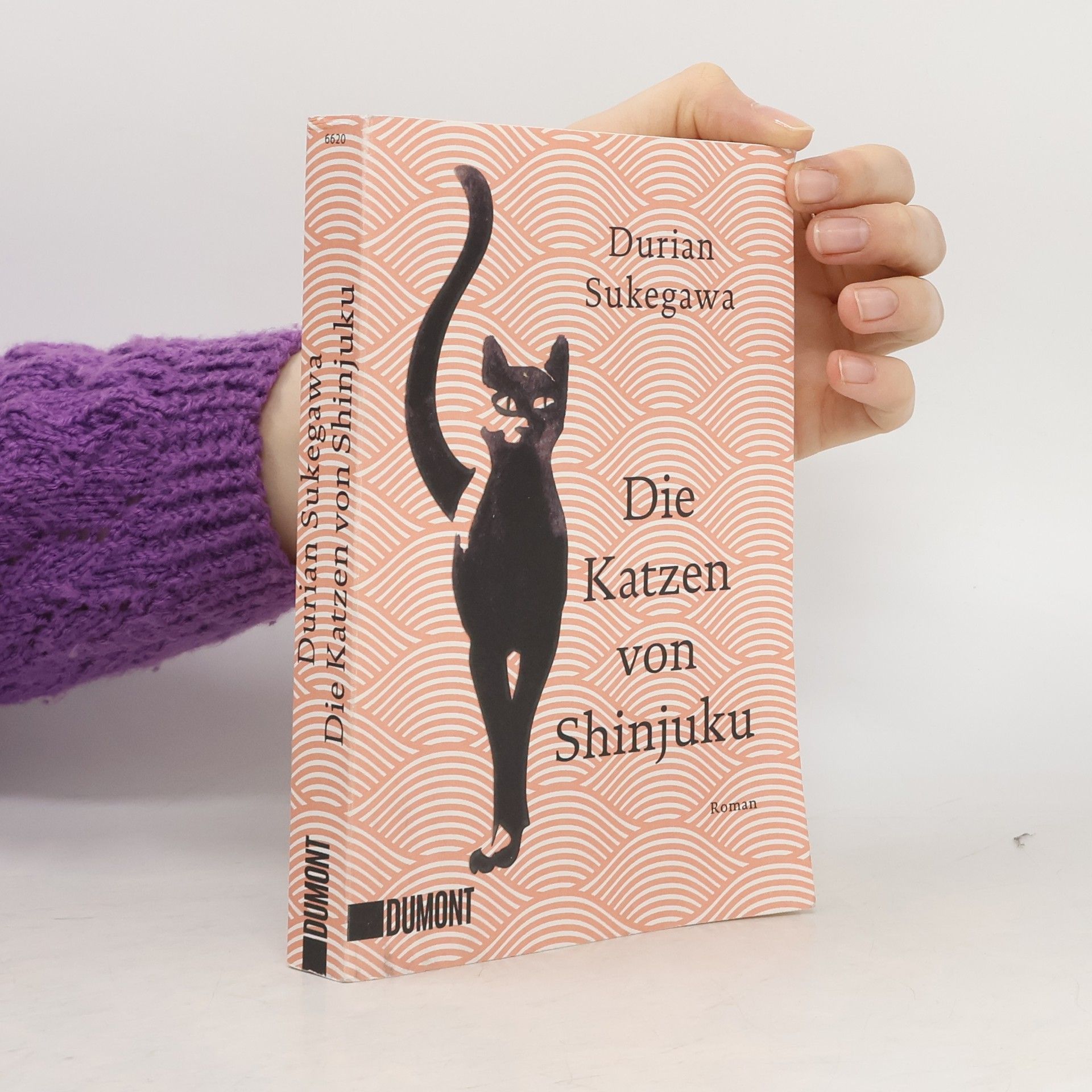 Durian Sukegawa Die Katzen von Shinjuku