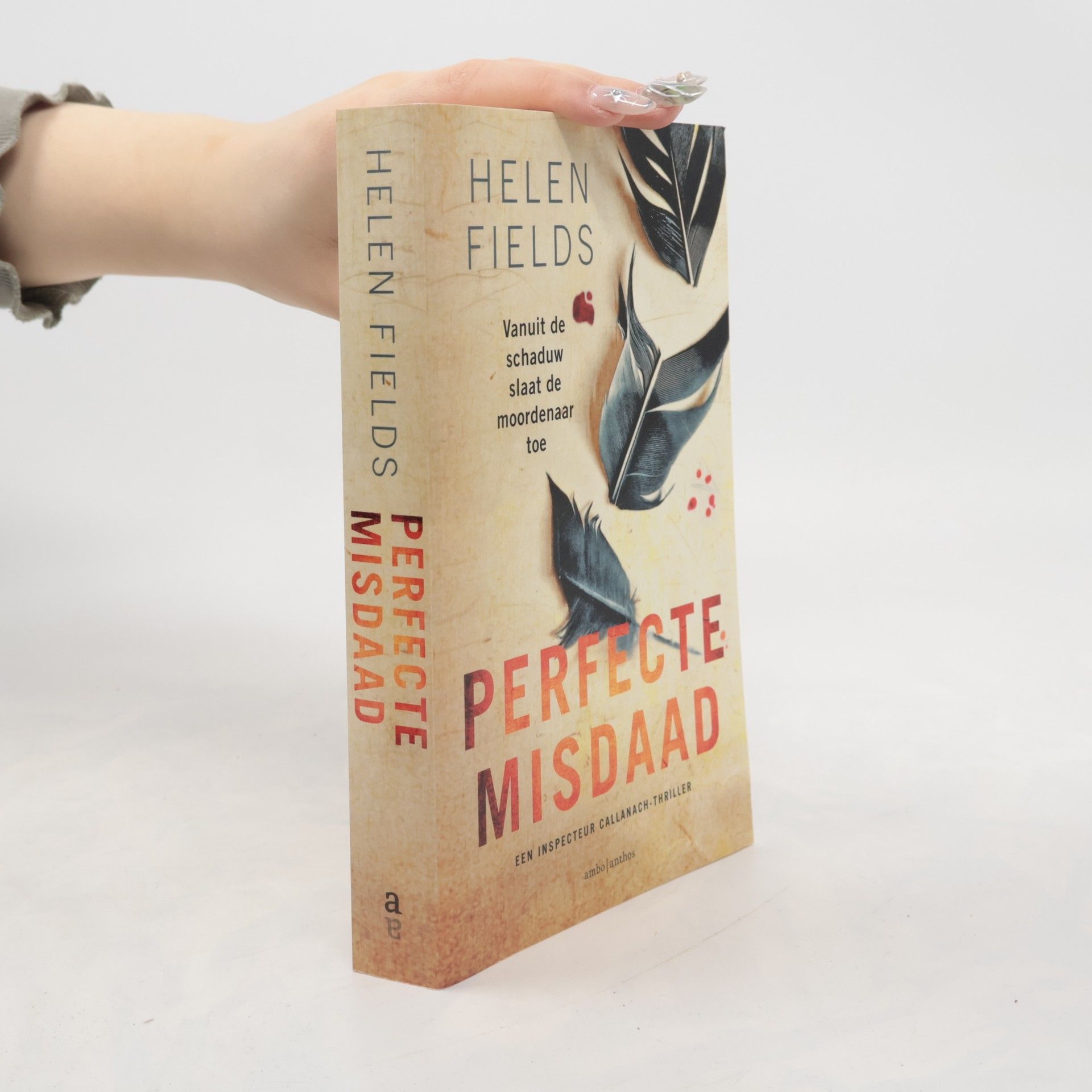 D.I. Callanach - 5: Perfecte misdaad