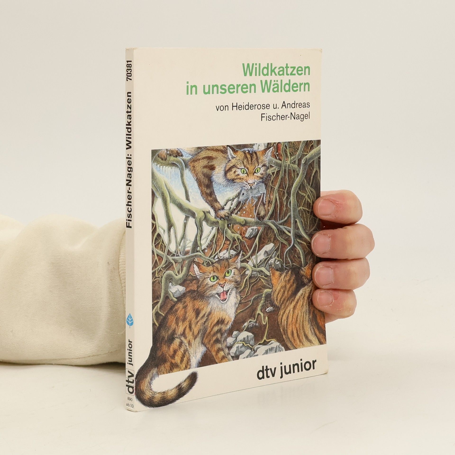 Wildkatzen in unseren Wäldern