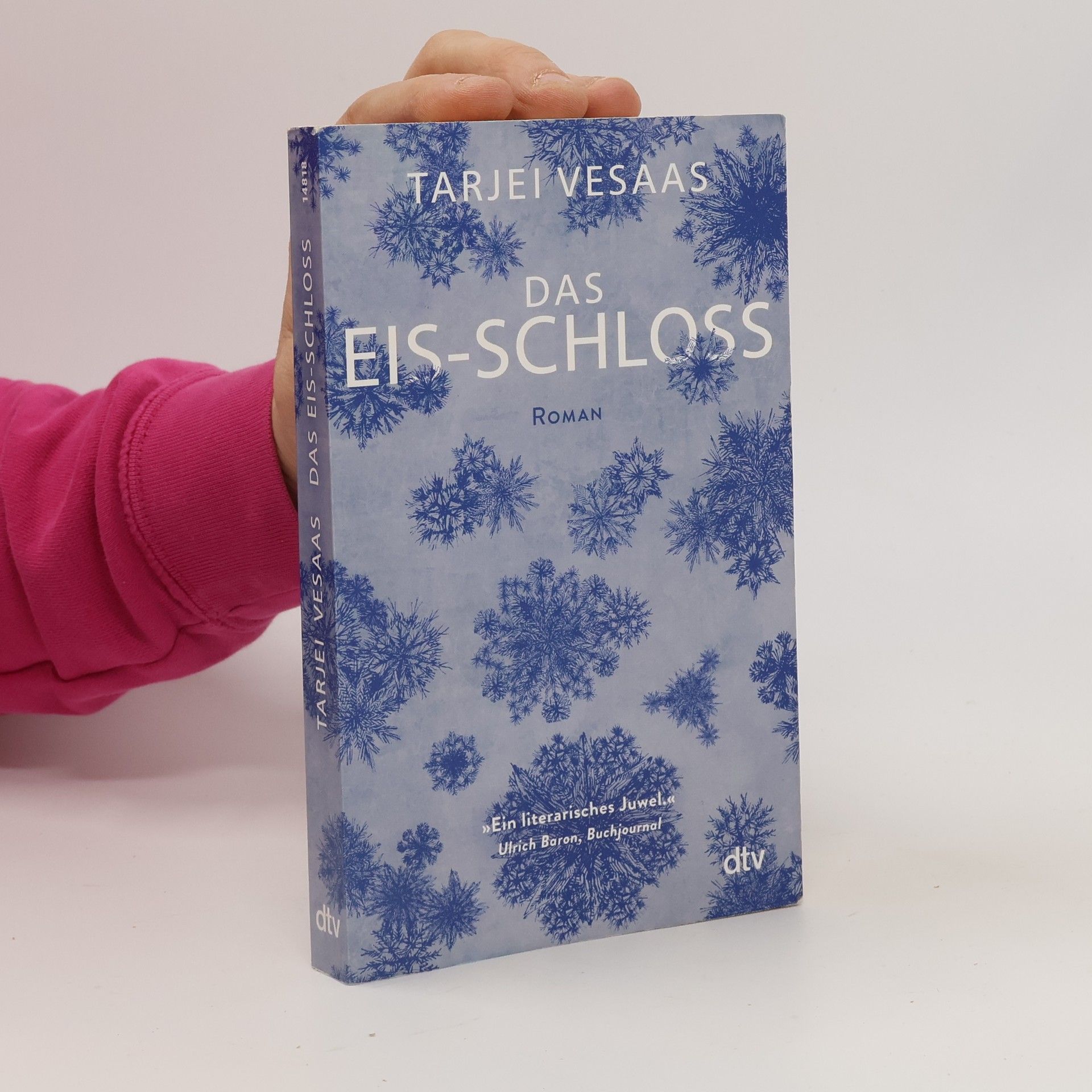 Tarjei Vesaas Das Eis-Schloss