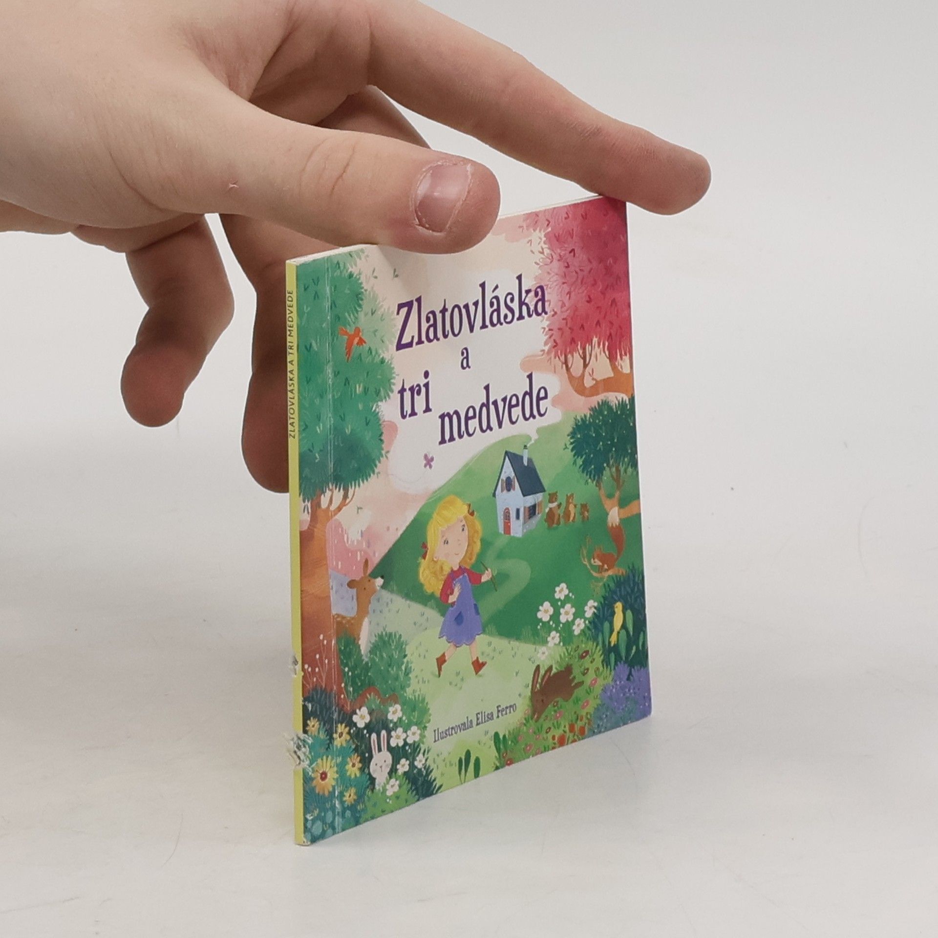 Autorenkollektiv Zlatovláska a tri medvede