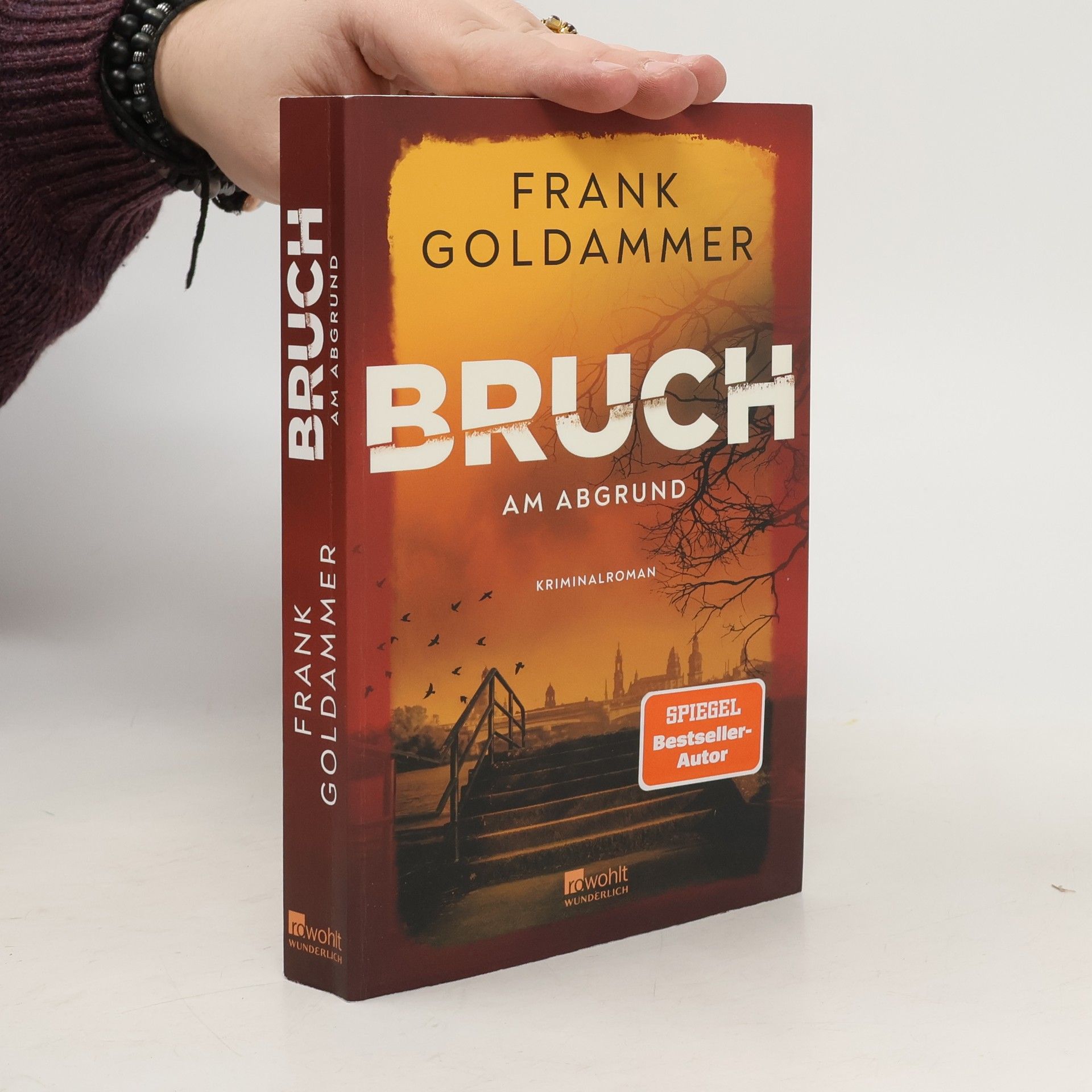 Frank Goldammer Felix Bruch - 4: Bruch: Am Abgrund