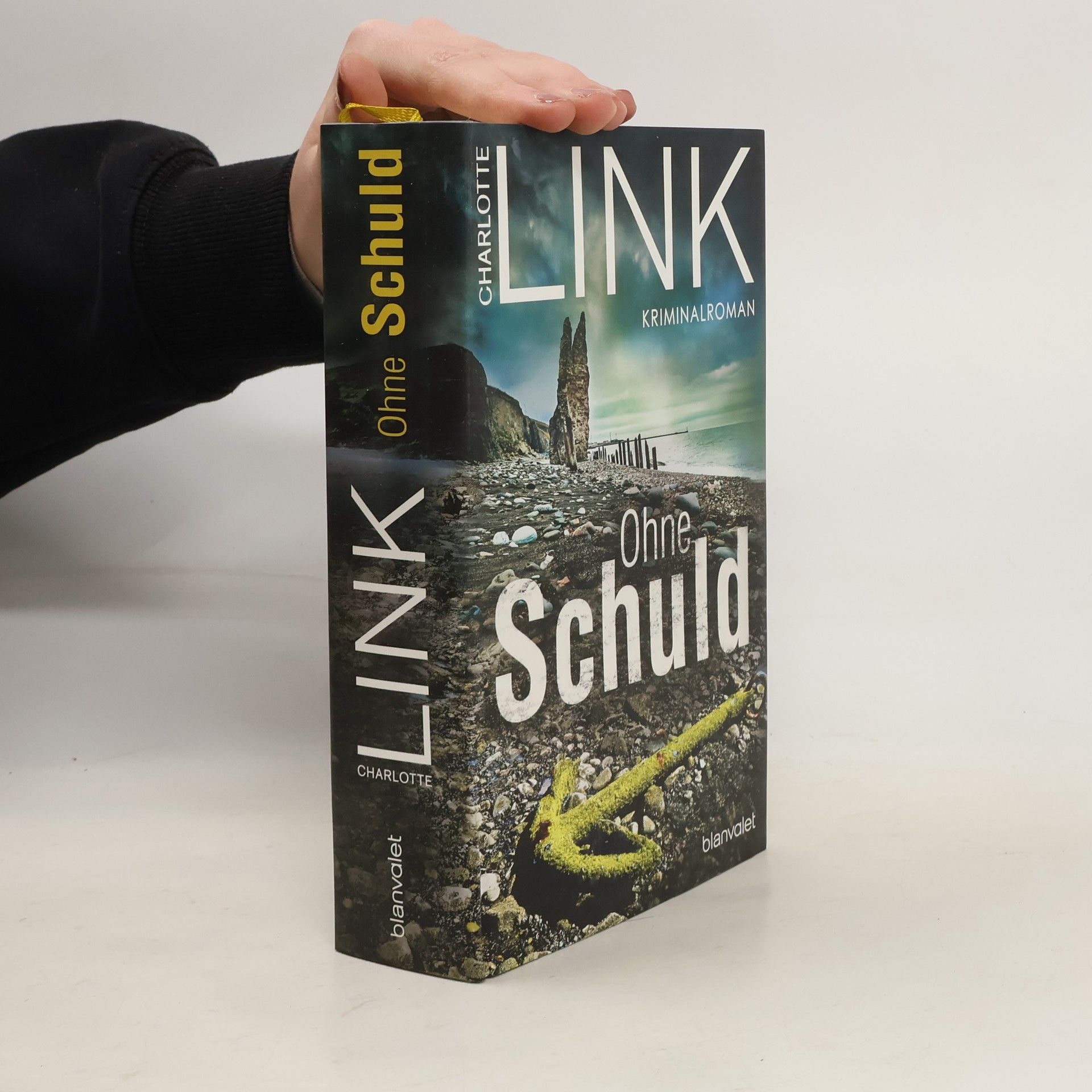 Charlotte Link Ohne Schuld