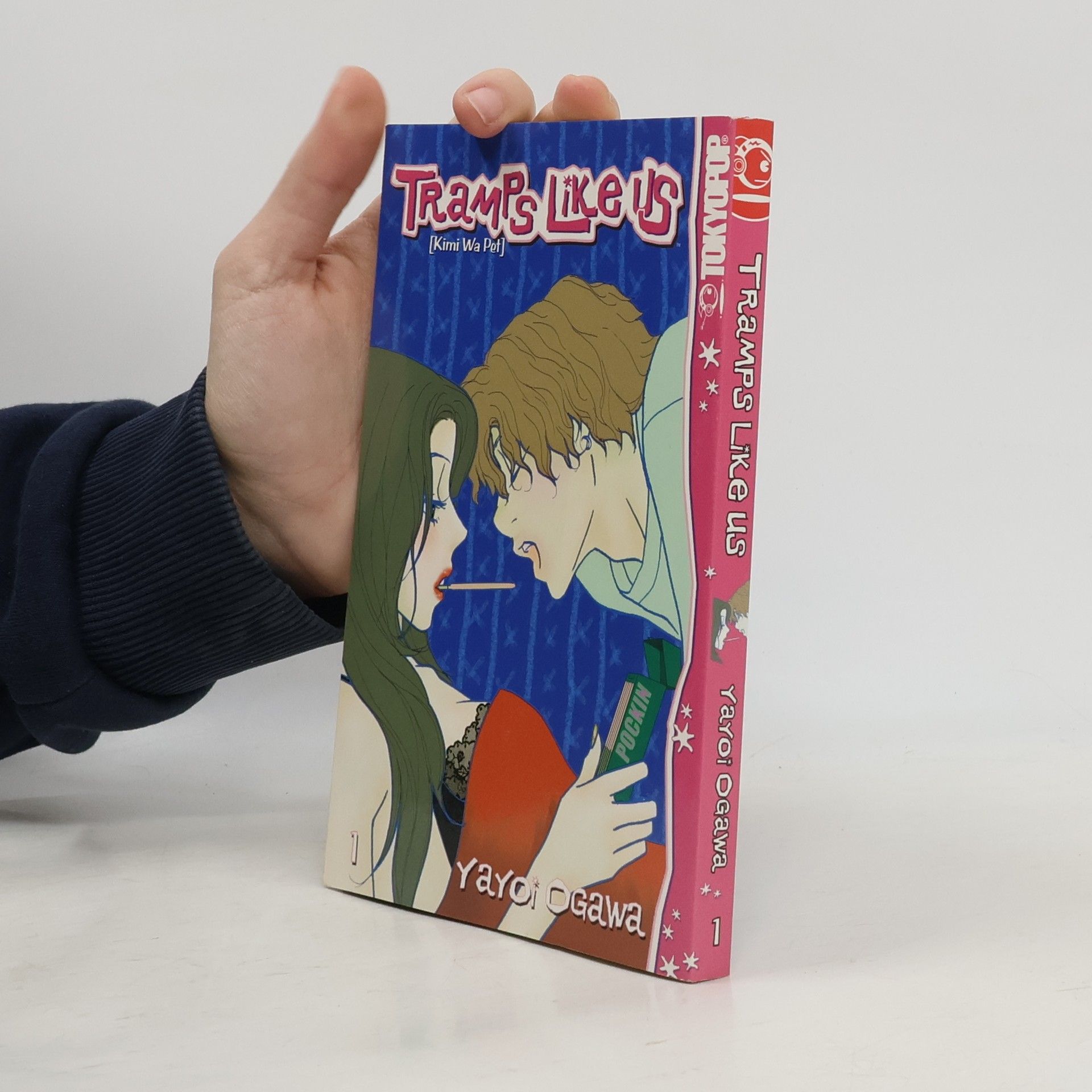 Yayoi Ogawa Tramps Like Us 1