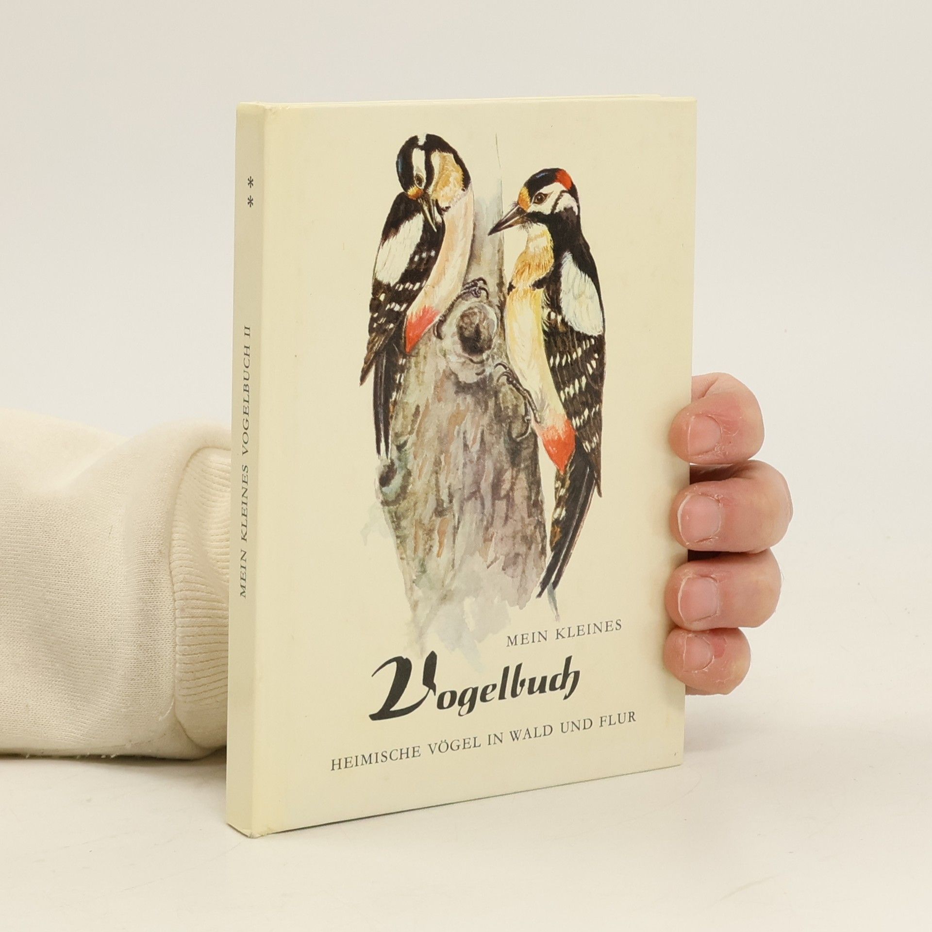 Irmgard Engelhardt Mein kleines Vogelbuch II