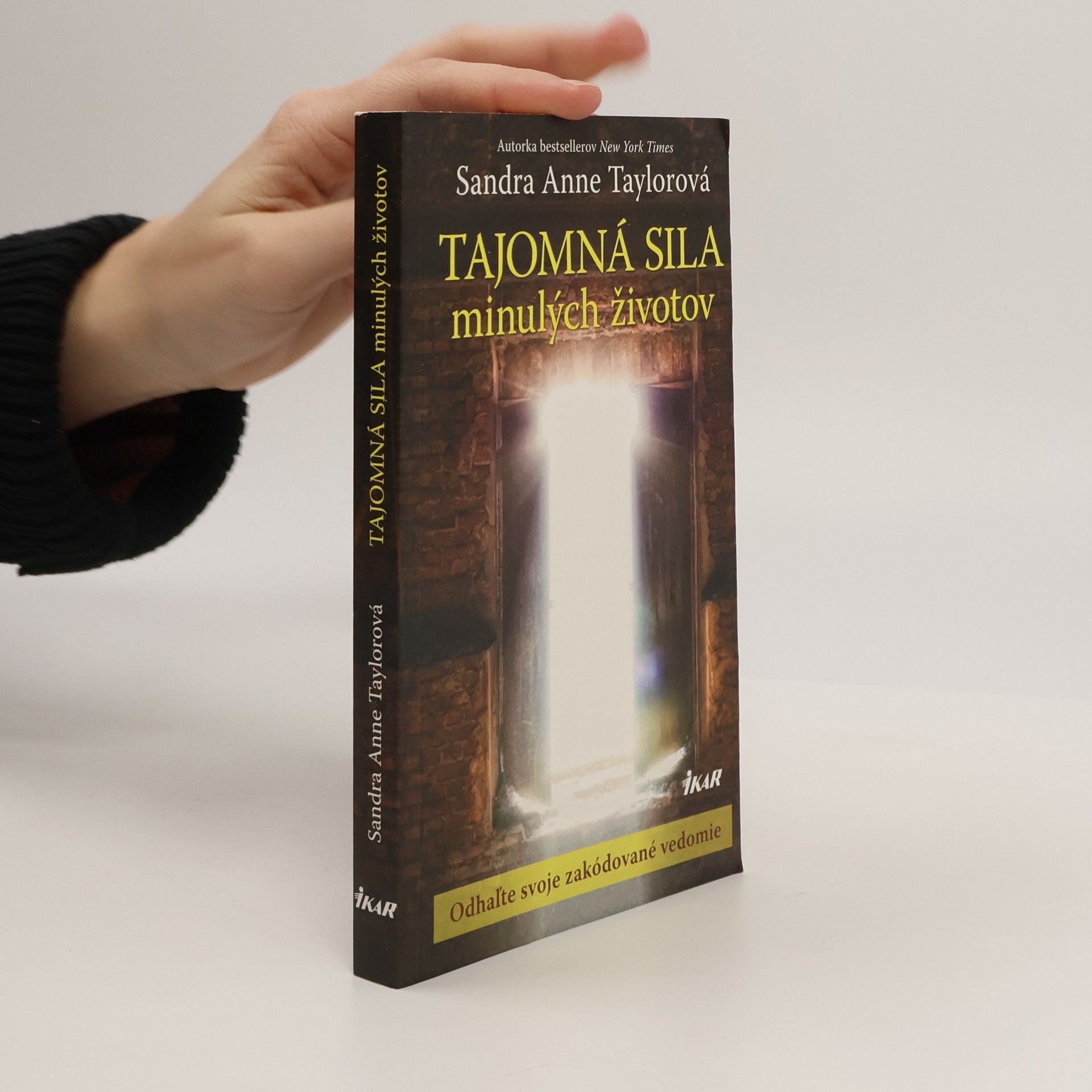 Sandra Anne Taylor Tajomná sila minulých životov