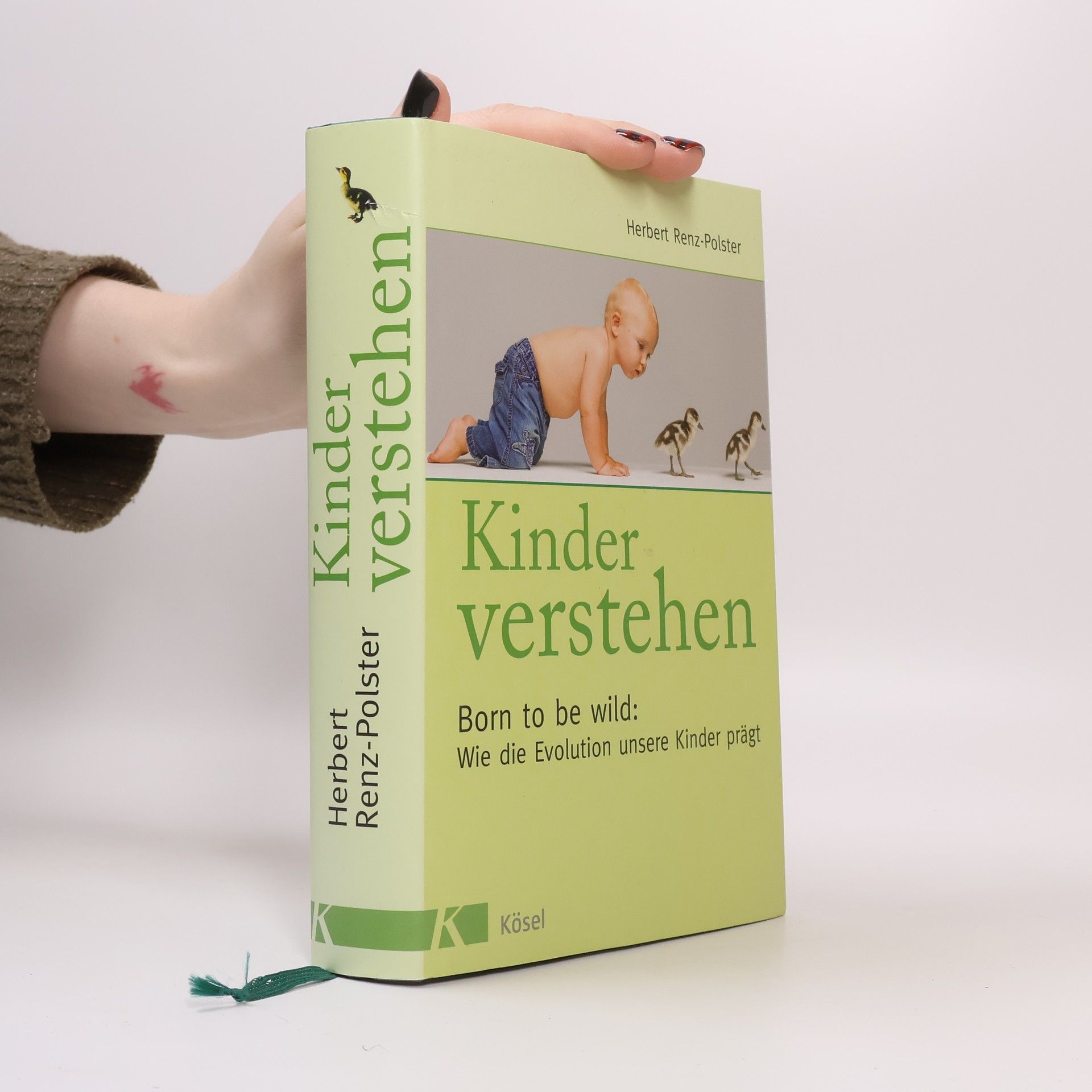 Herbert Renz-Polster Kinder verstehen