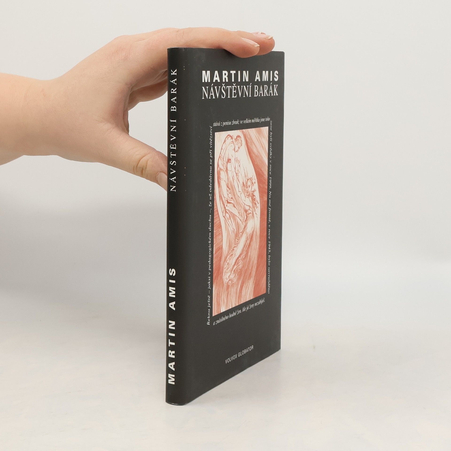 Martin Amis Návštěvní barák