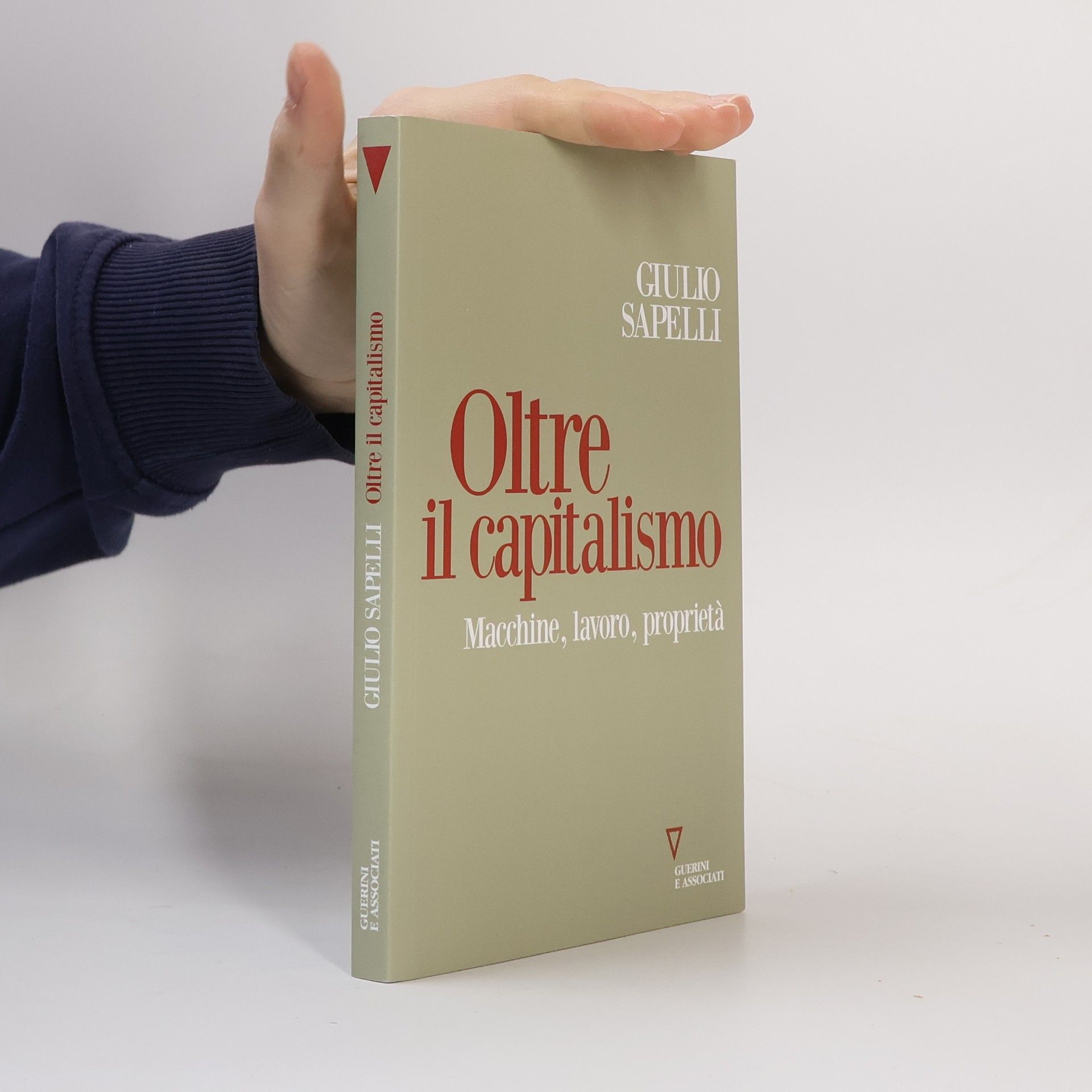 Giulio Sapelli Sguardi sul mondo attuale: Oltre il capitalismo. Macchine, lavoro, proprietà