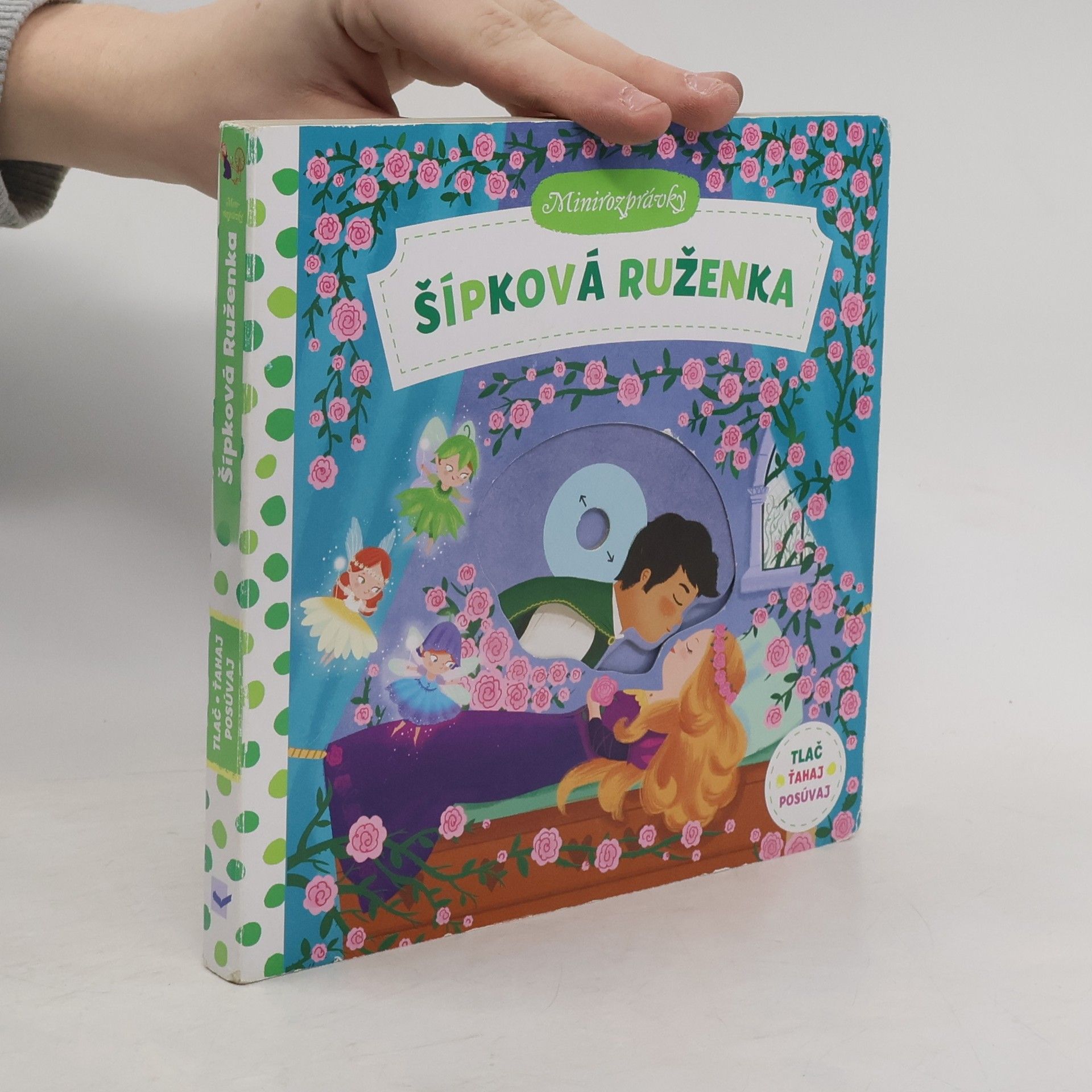 Daniel Taylor Šípková Ruženka - minirozprávky