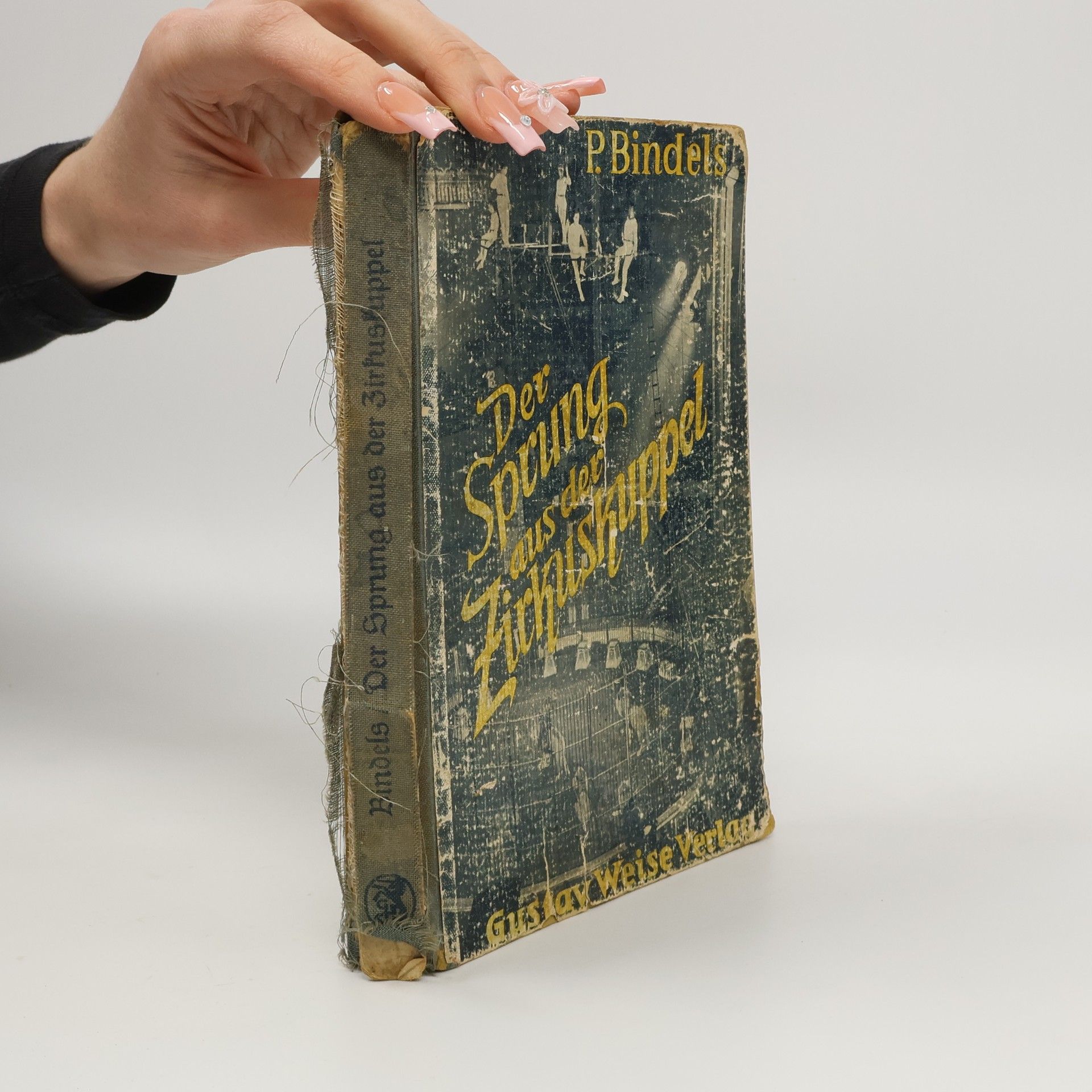 Jean-Paul Bindel Der Sprung aus der Zirkuskuppel