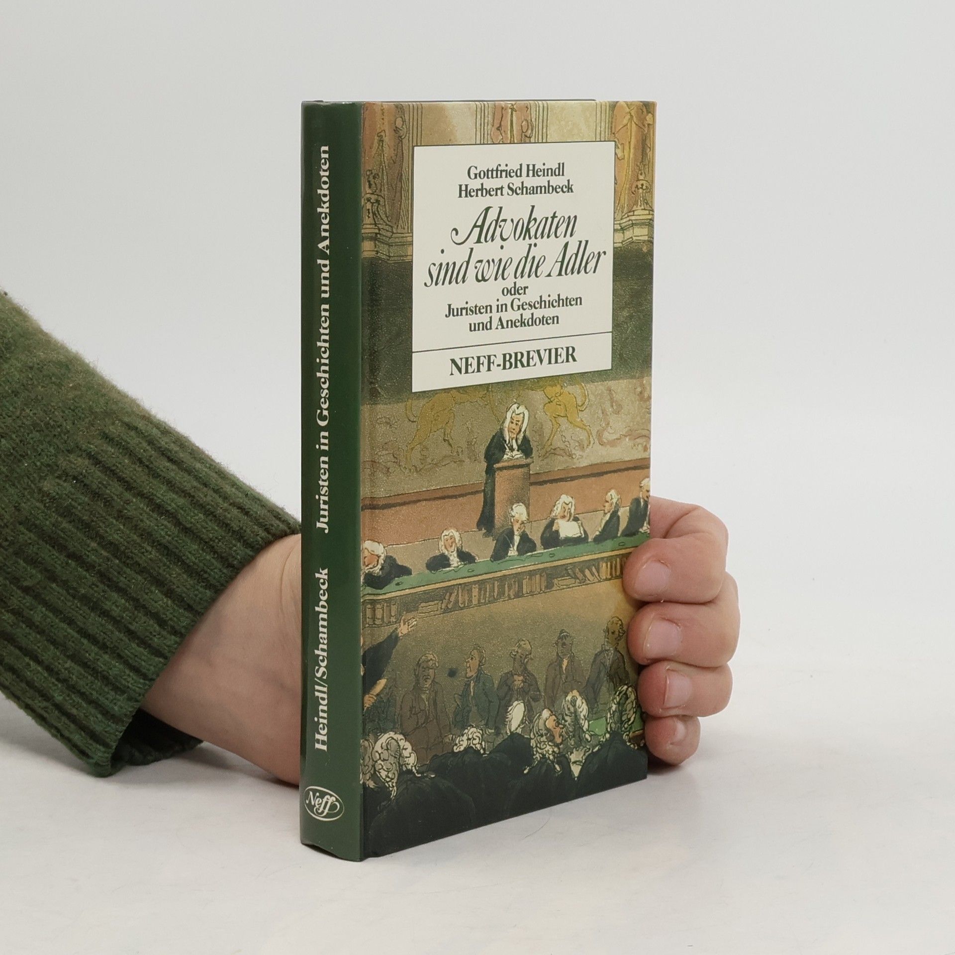 Advokaten sind wie die Adler