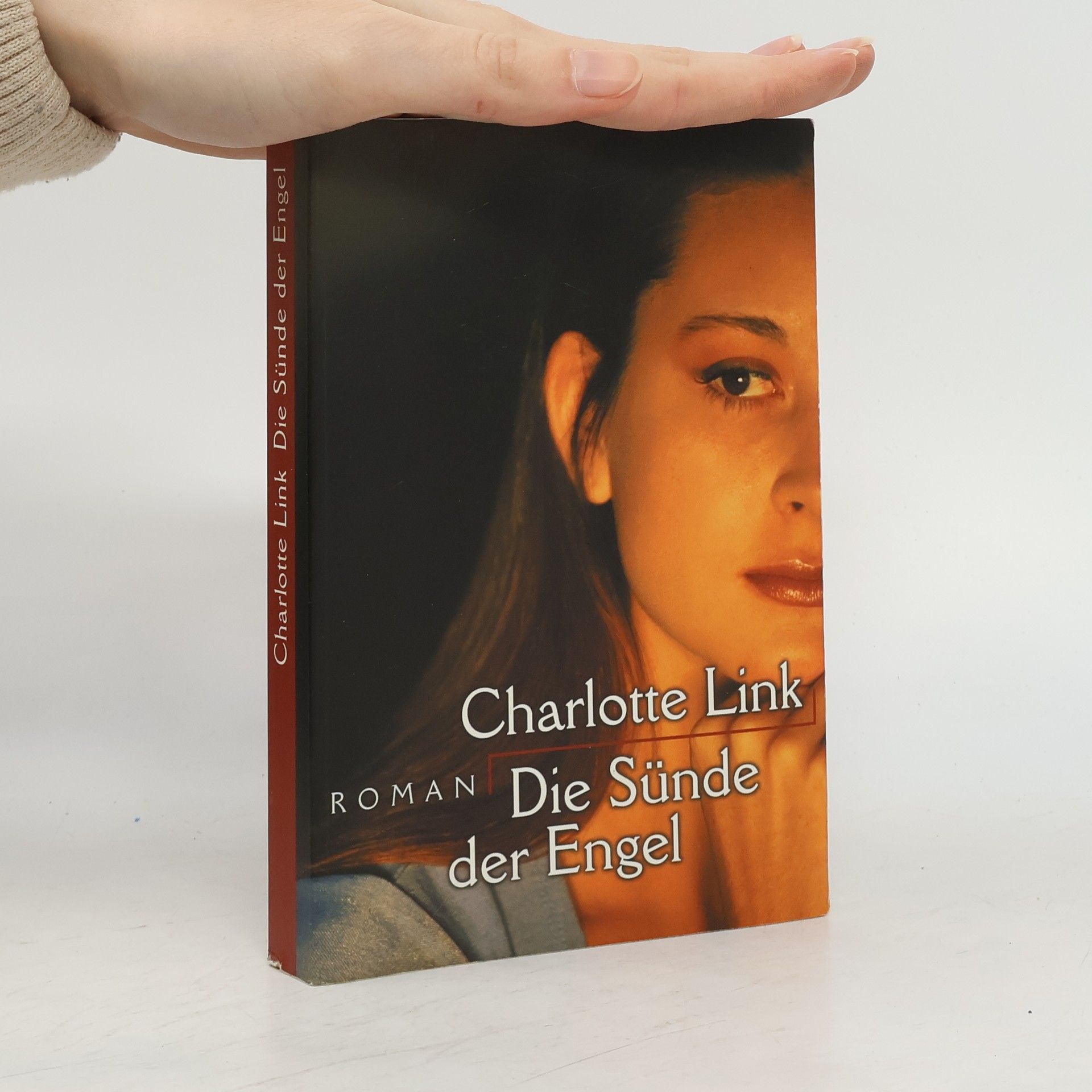 Charlotte Link Die Sünde der Engel
