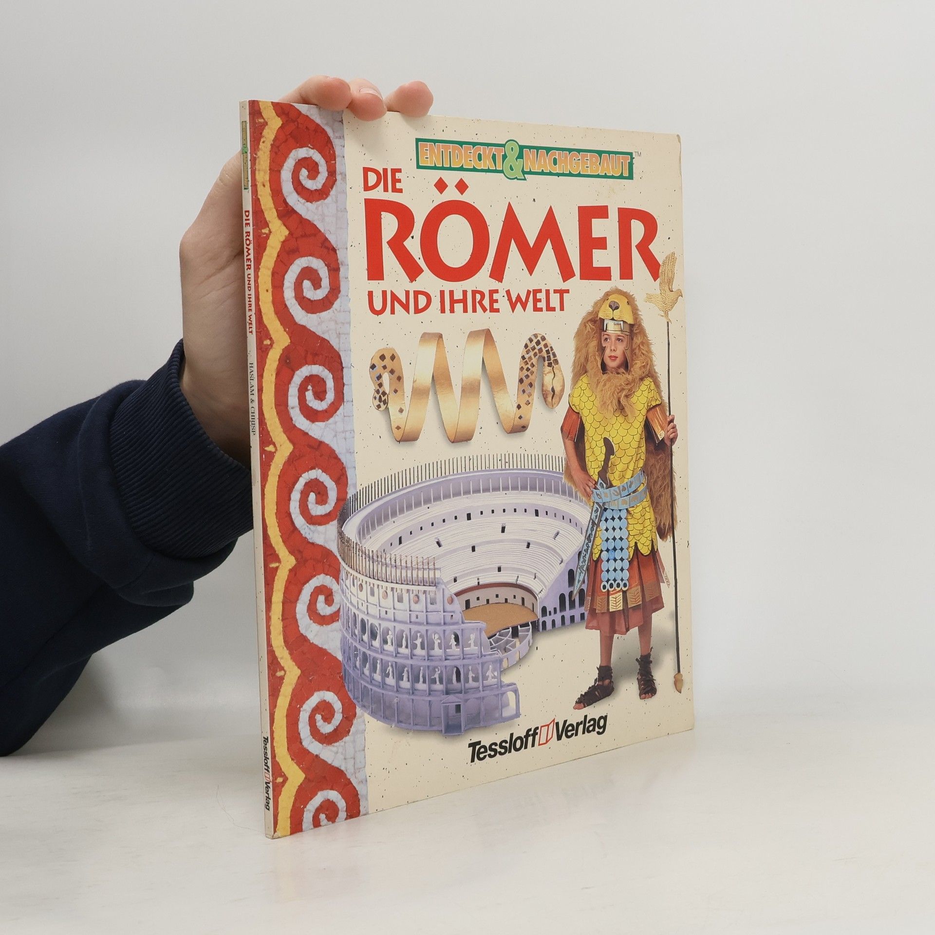 Kolektiv autorů Die Römer Und Ihre Welt