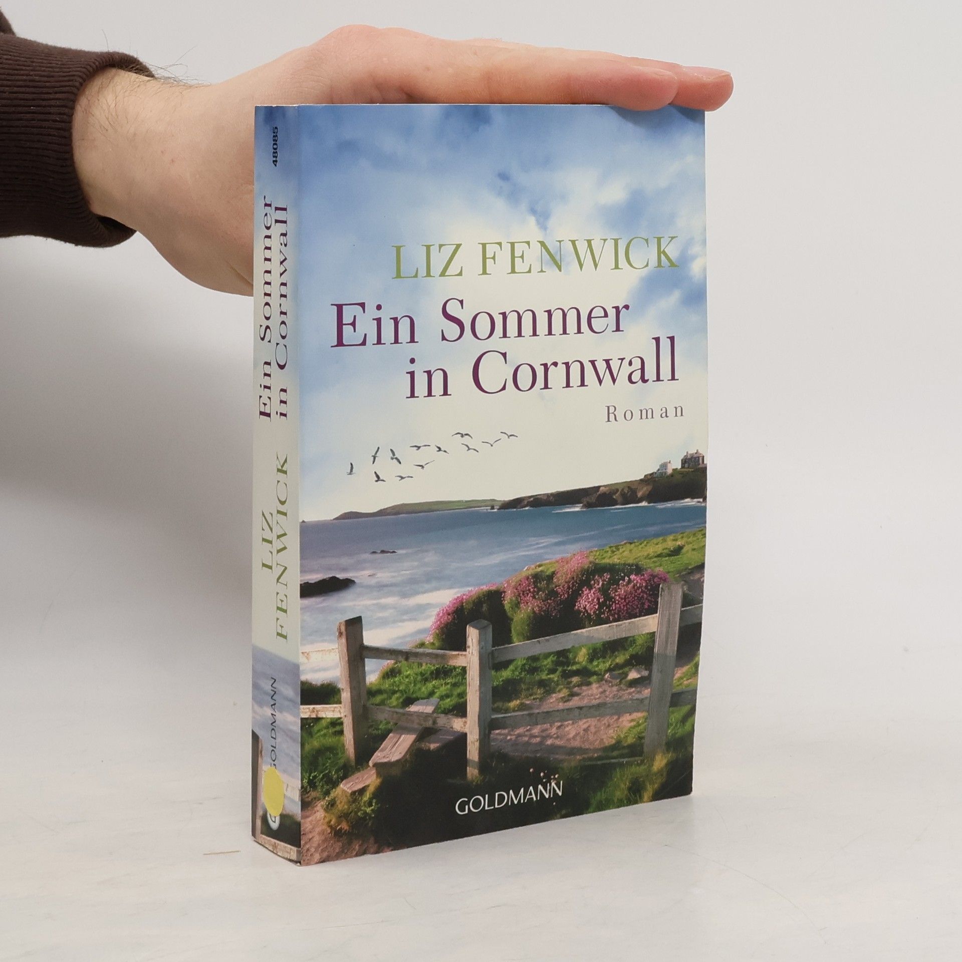Liz Fenwick Ein Sommer in Cornwall