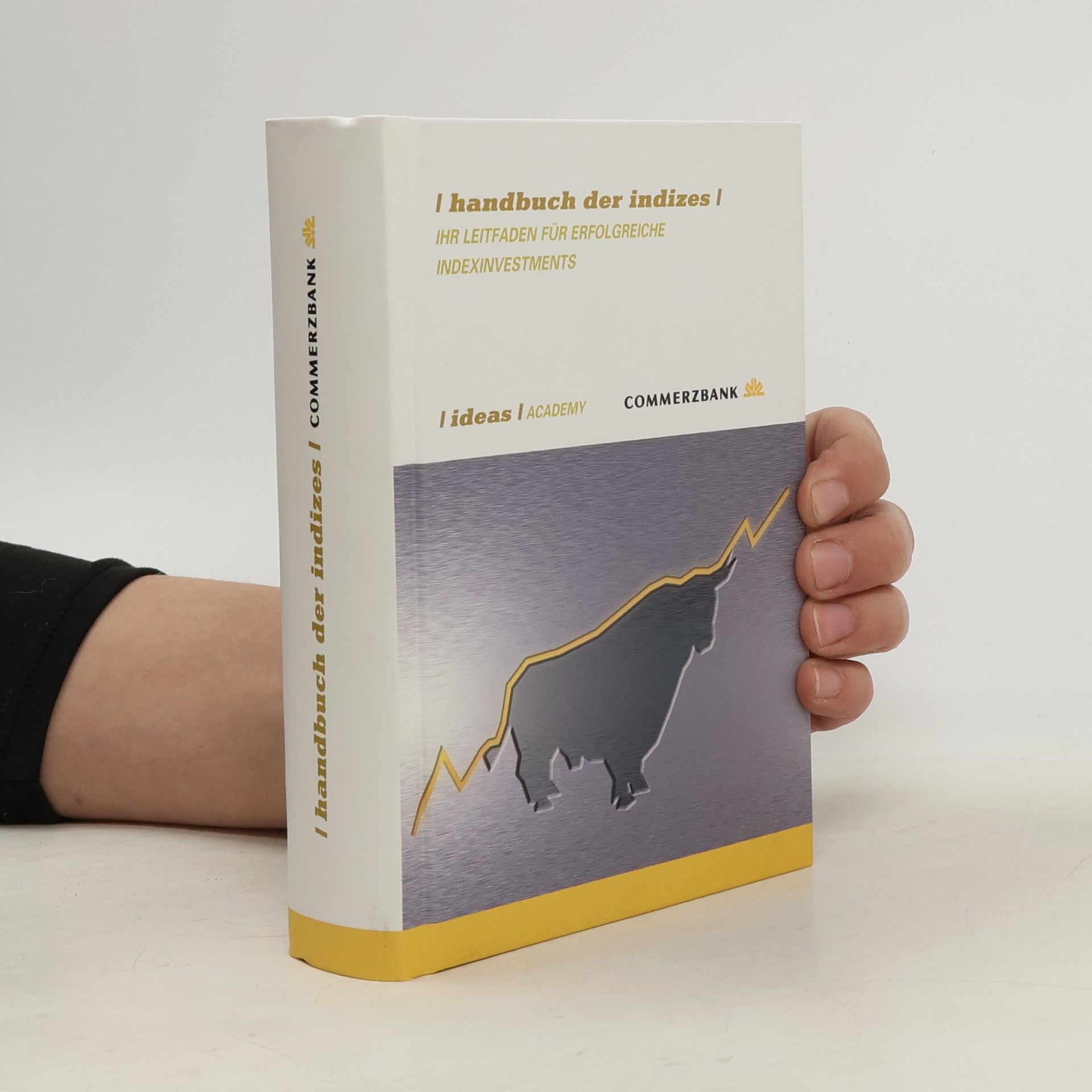 Autorenkollektiv Handbuch der Indizes