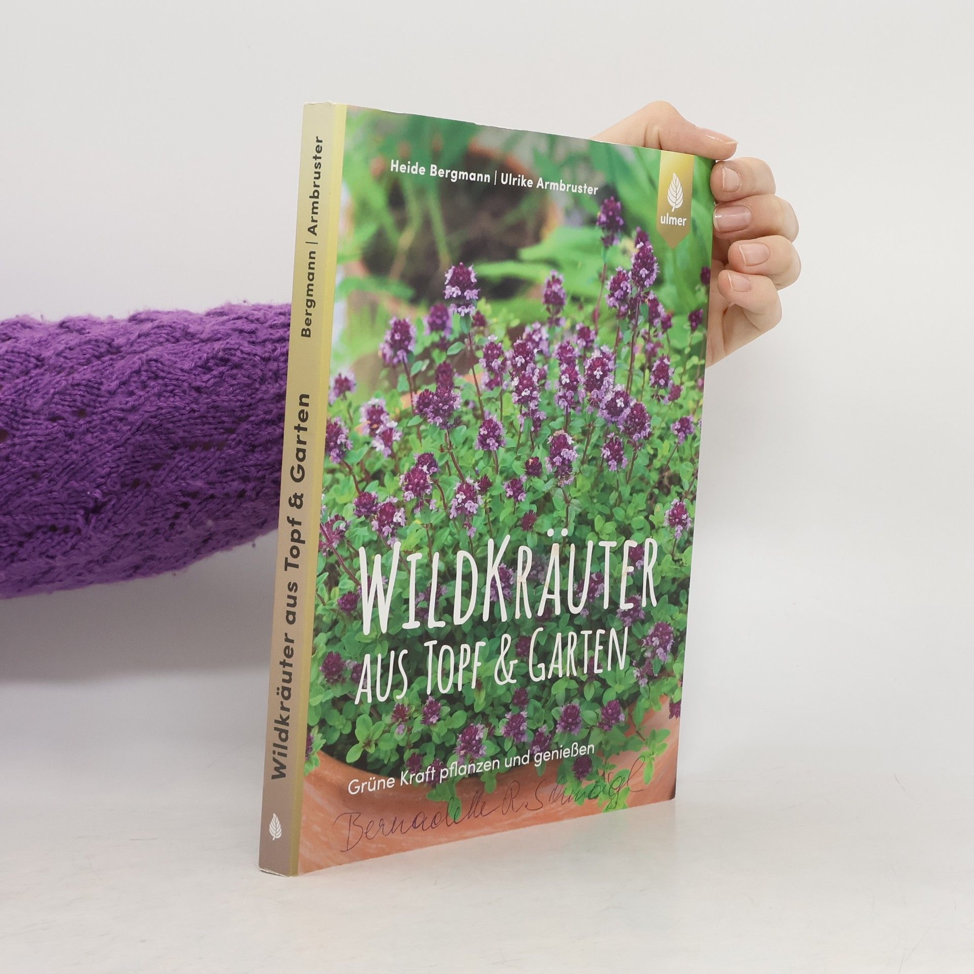 Wildkräuter aus Topf & Garten