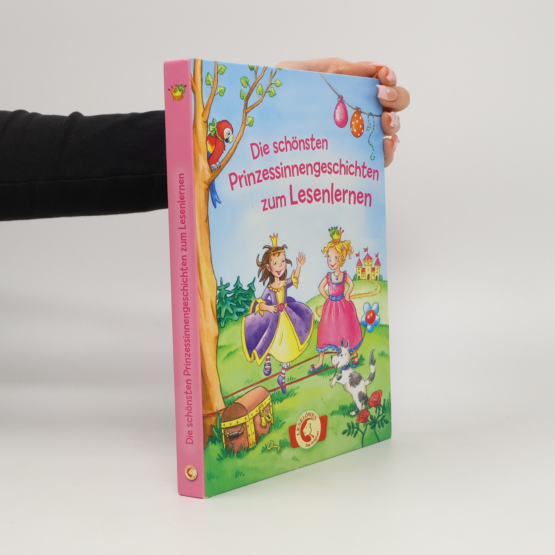 Autores varios Die schönsten Prinzessinnengeschichten zum Lesenlernen