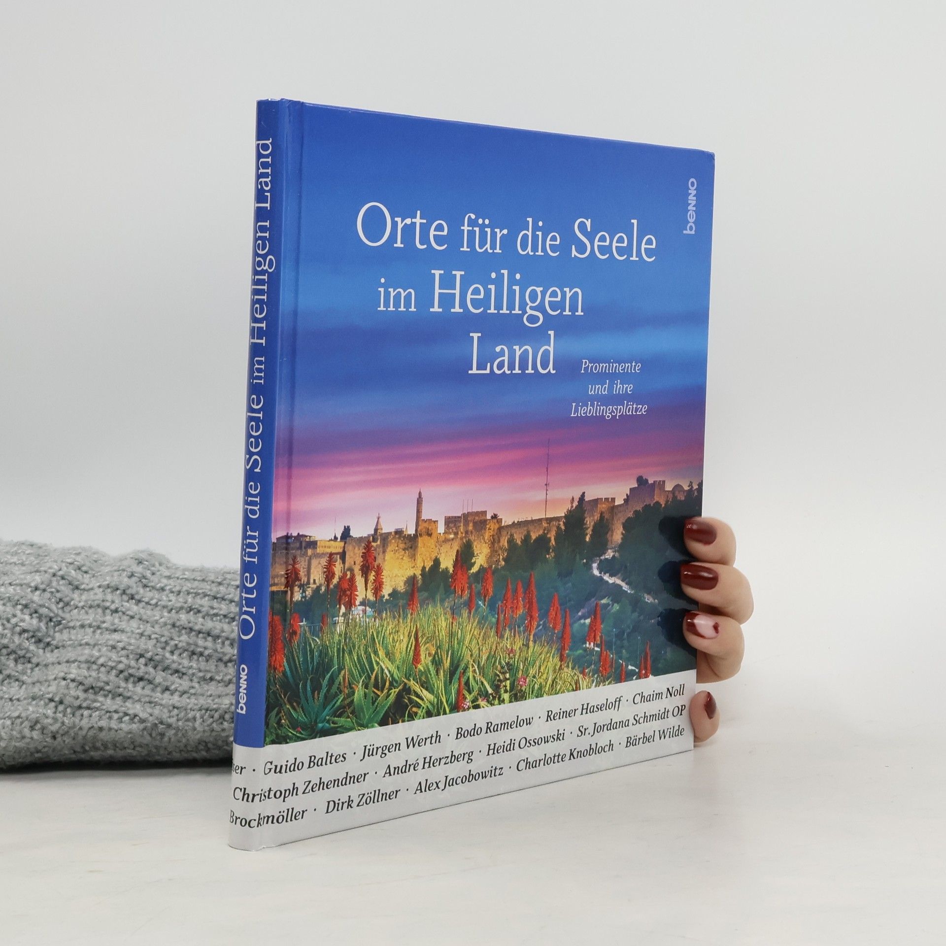 AA.VV. Orte für die Seele im Heiligen Land