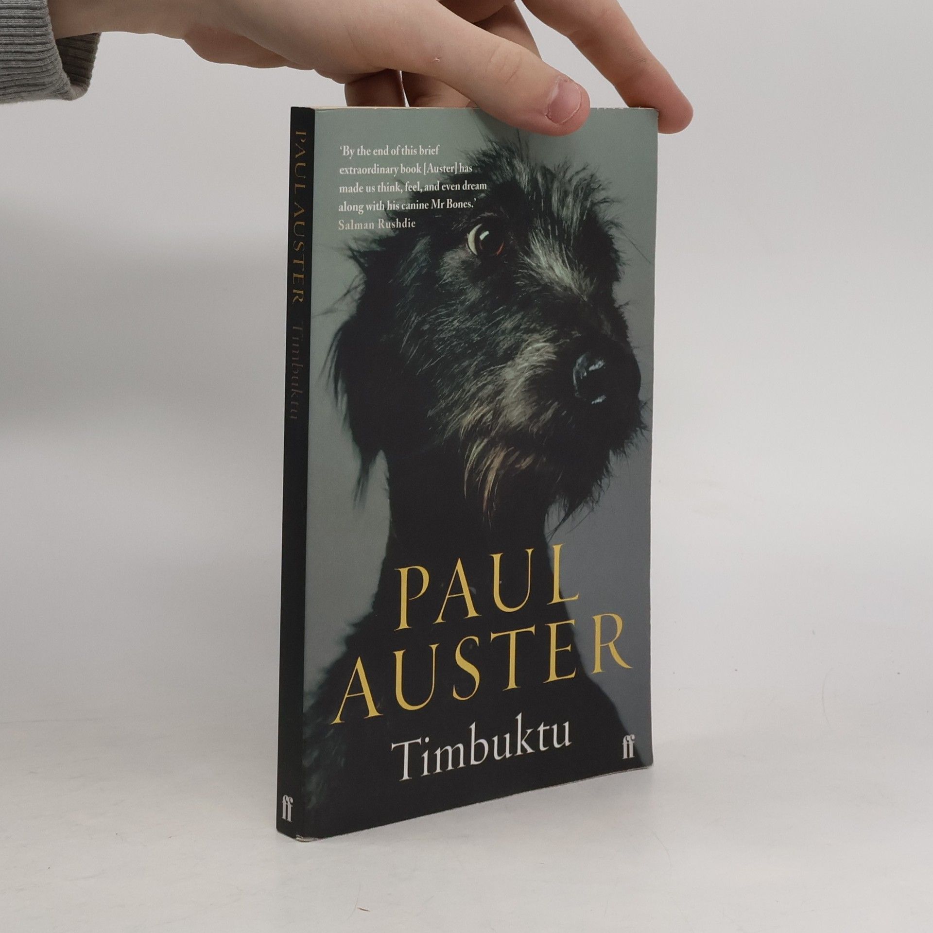 Paul Auster Timbuktu