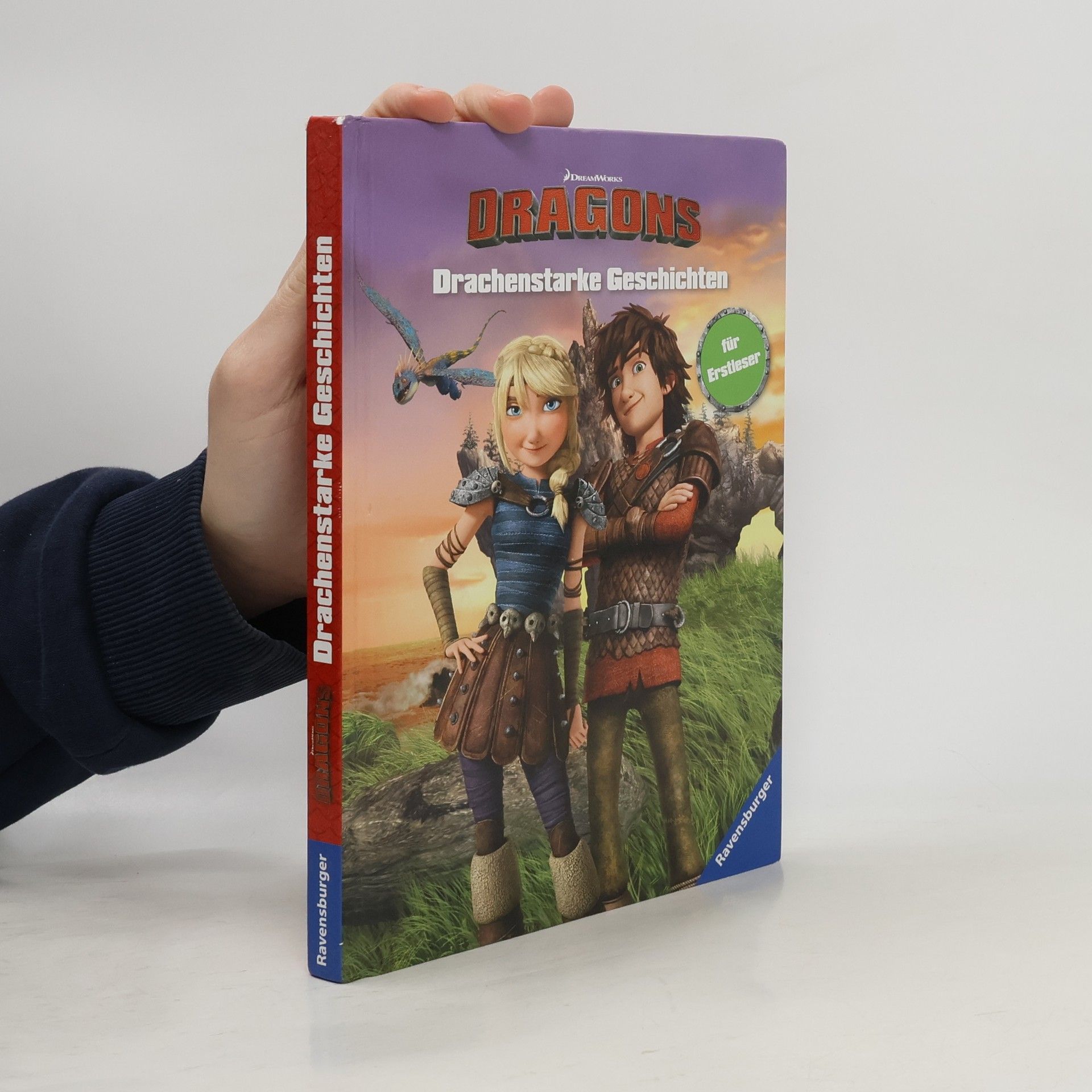 Thilo Petry-Lassak Dreamworks Dragons: Drachenstarke Geschichten für Erstleser
