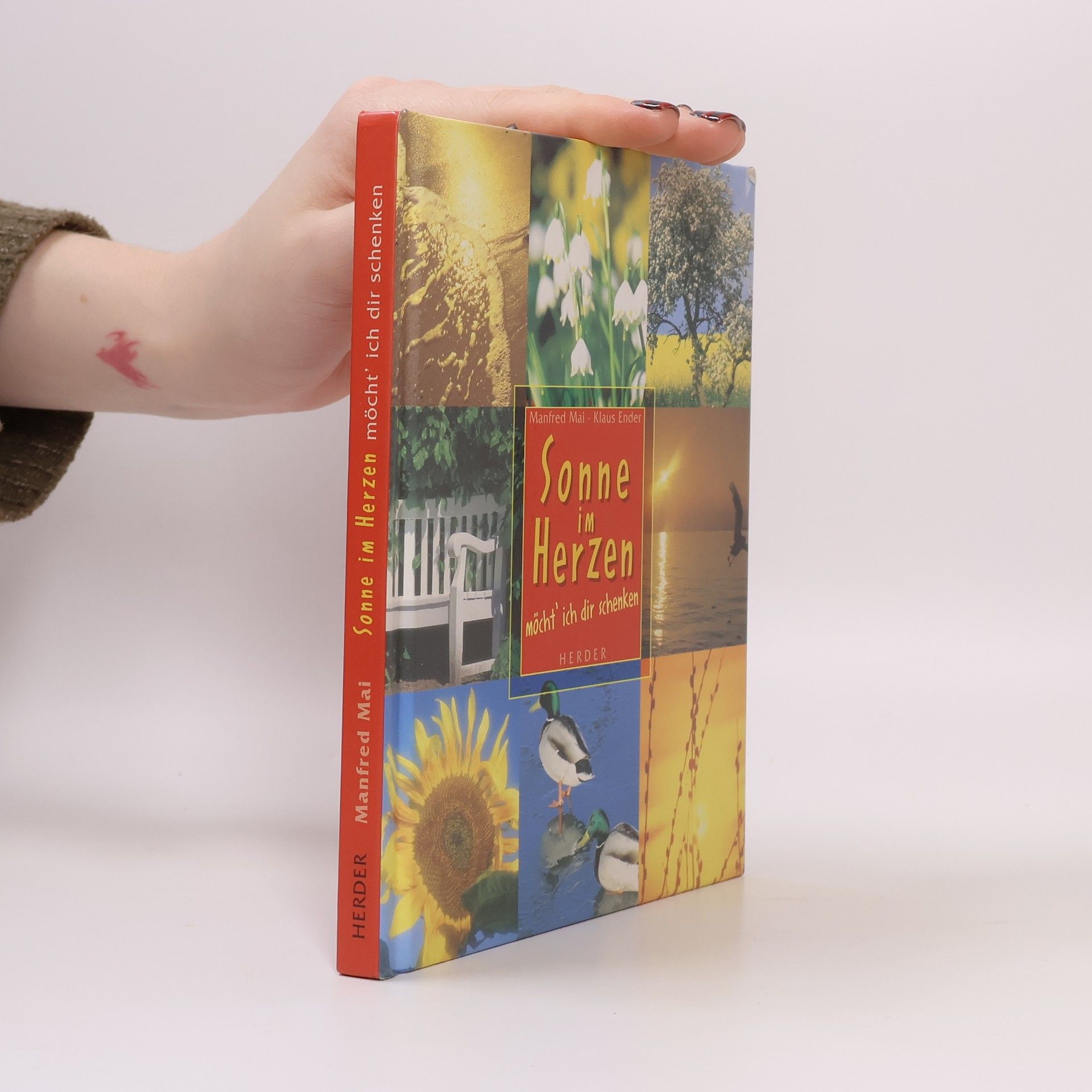 Manfred Mai Sonne im Herzen möcht' ich dir schenken