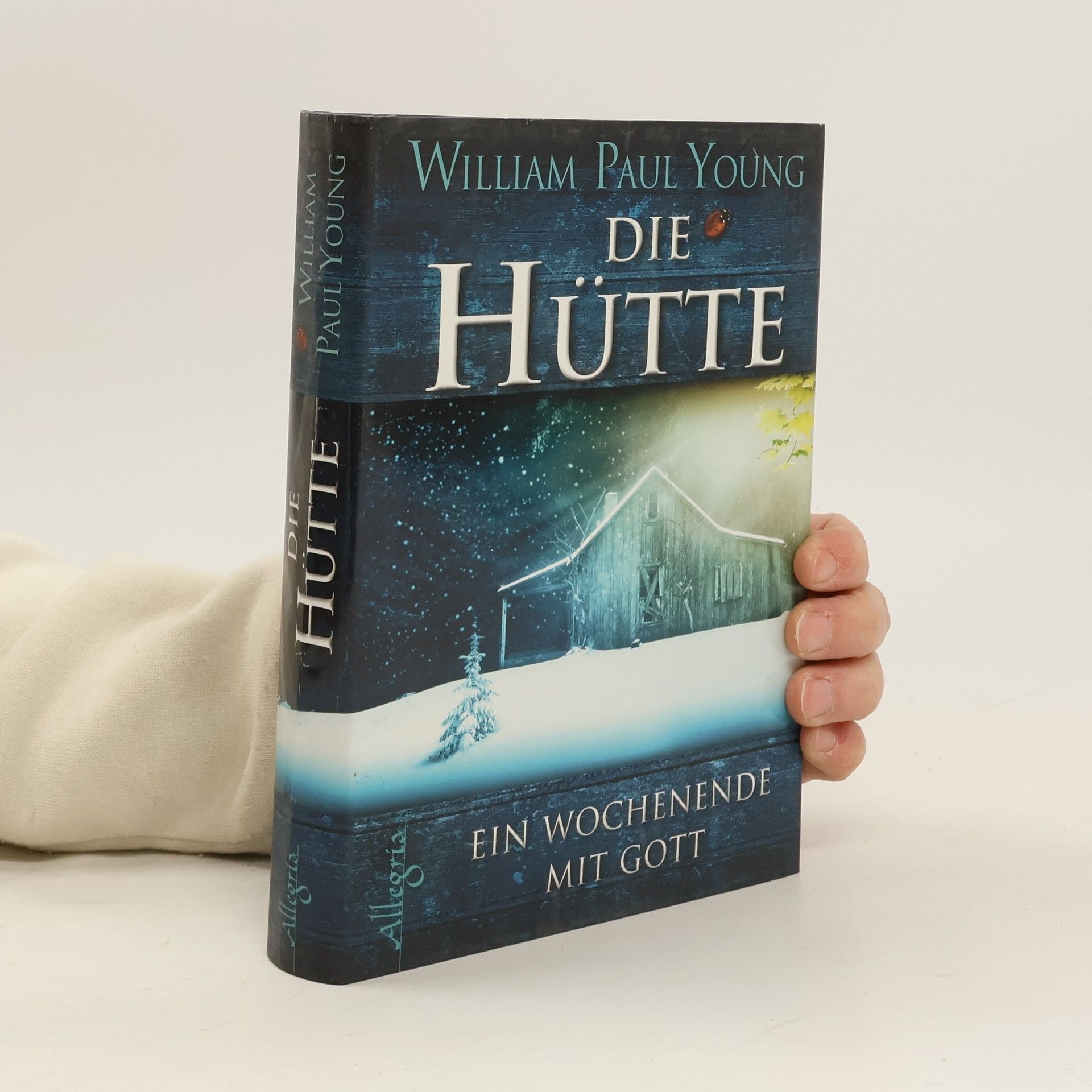 William P. Young Die Hütte