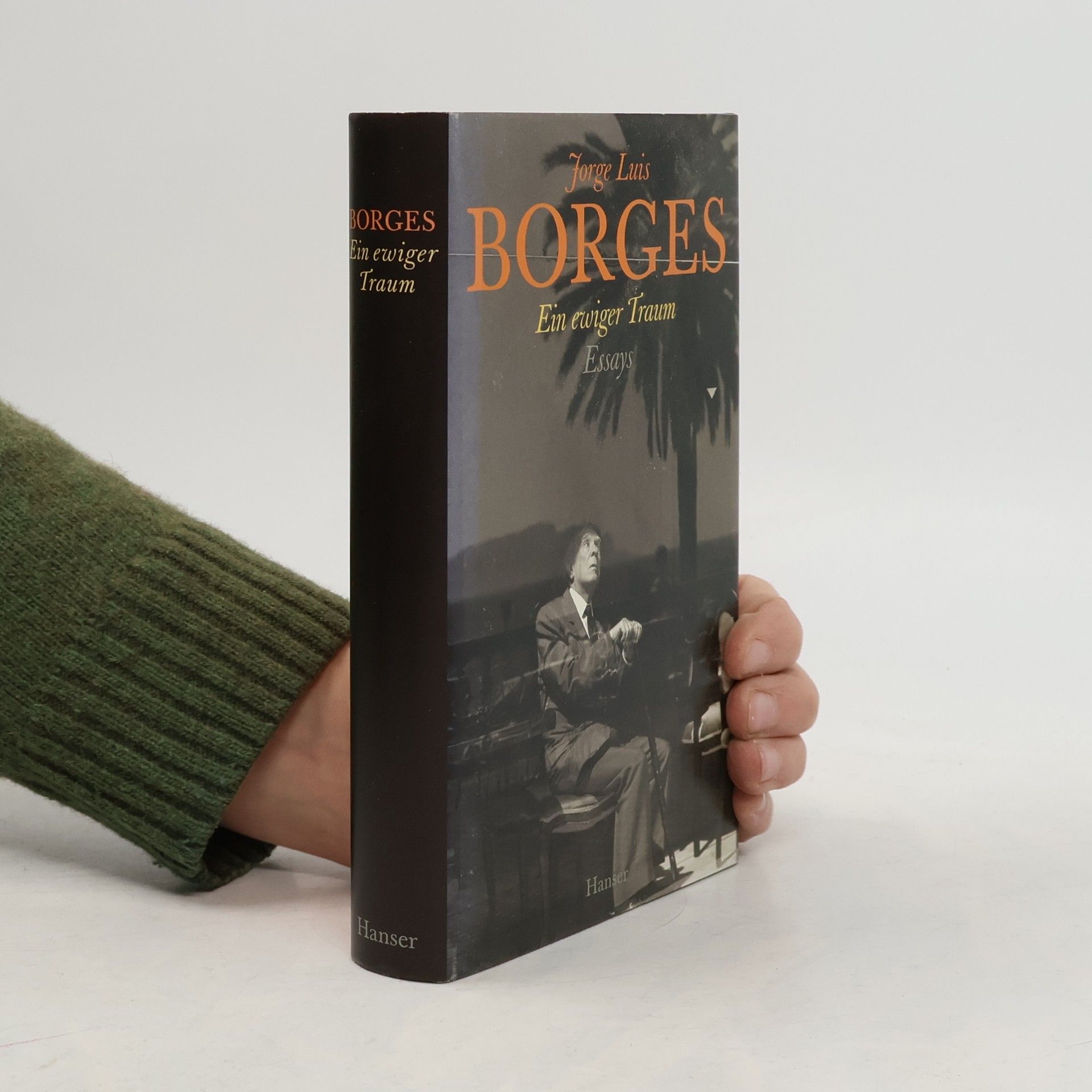 Gisbert Haefs Ein ewiger Traum. Essays