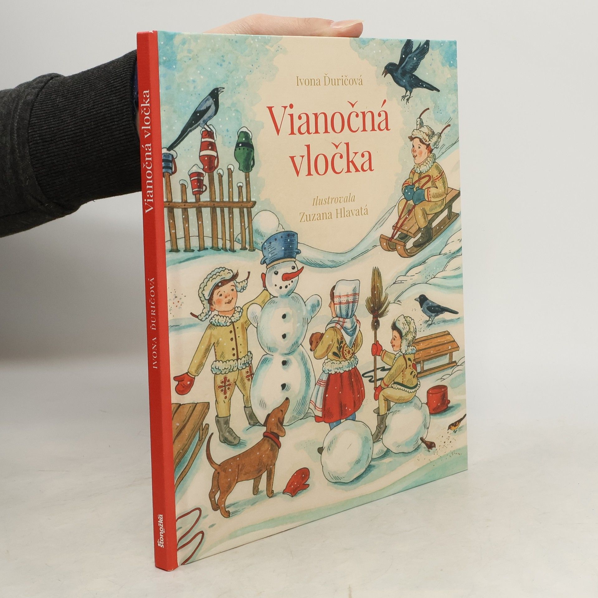 Ivona Ďuričová Vianočná vločka