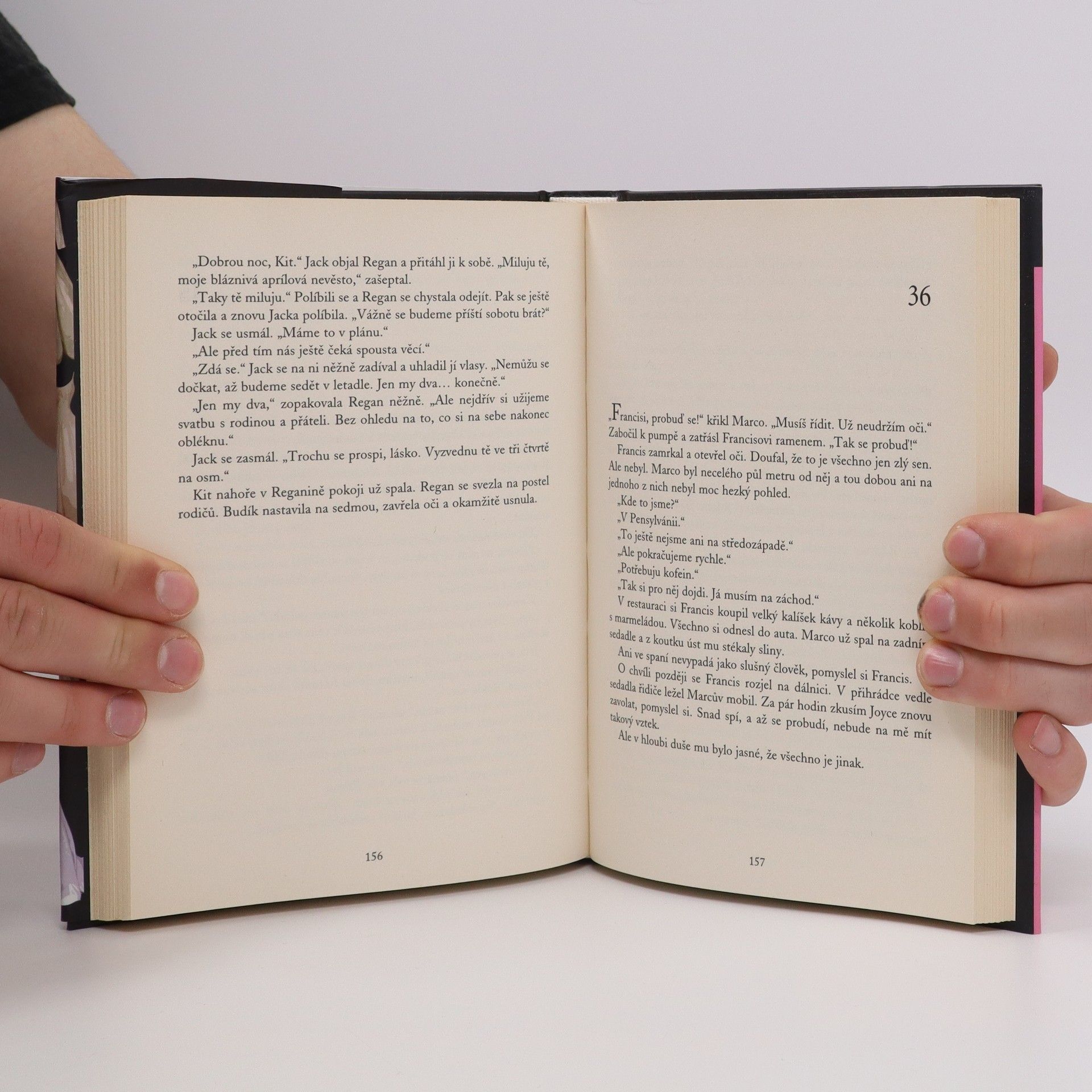 Carol Higgins Clark Případ pro dva