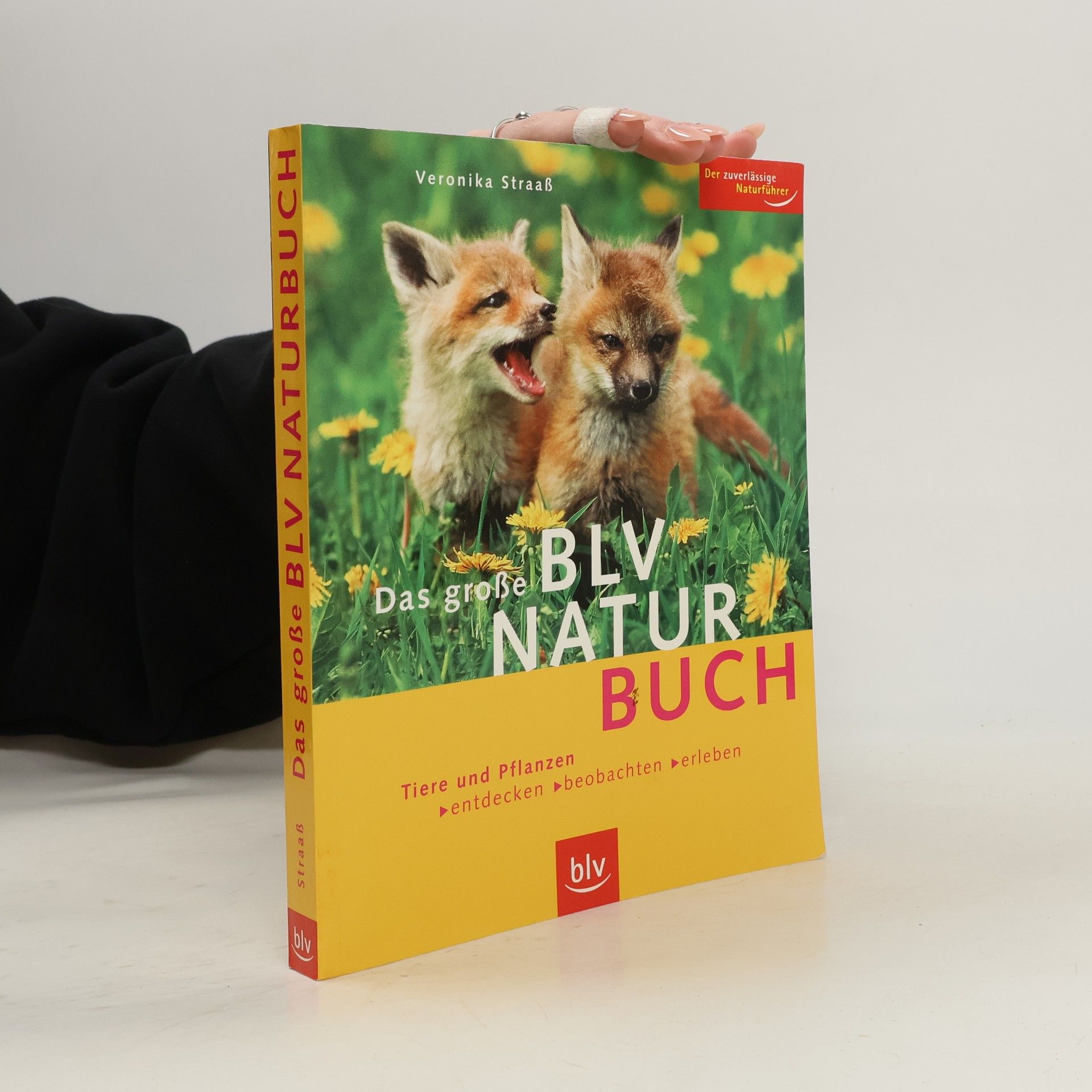 Veronika Straaß Das große BLV-Natur-Buch