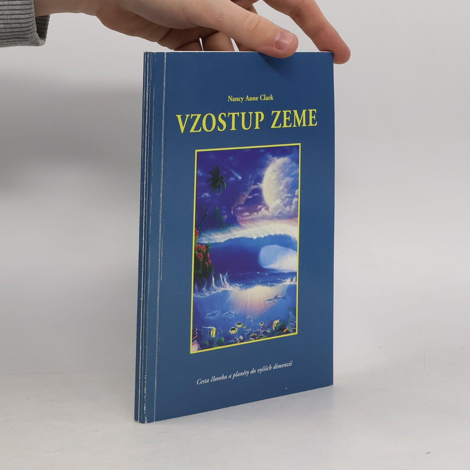 Nancy Anne Clark Vzostup zeme