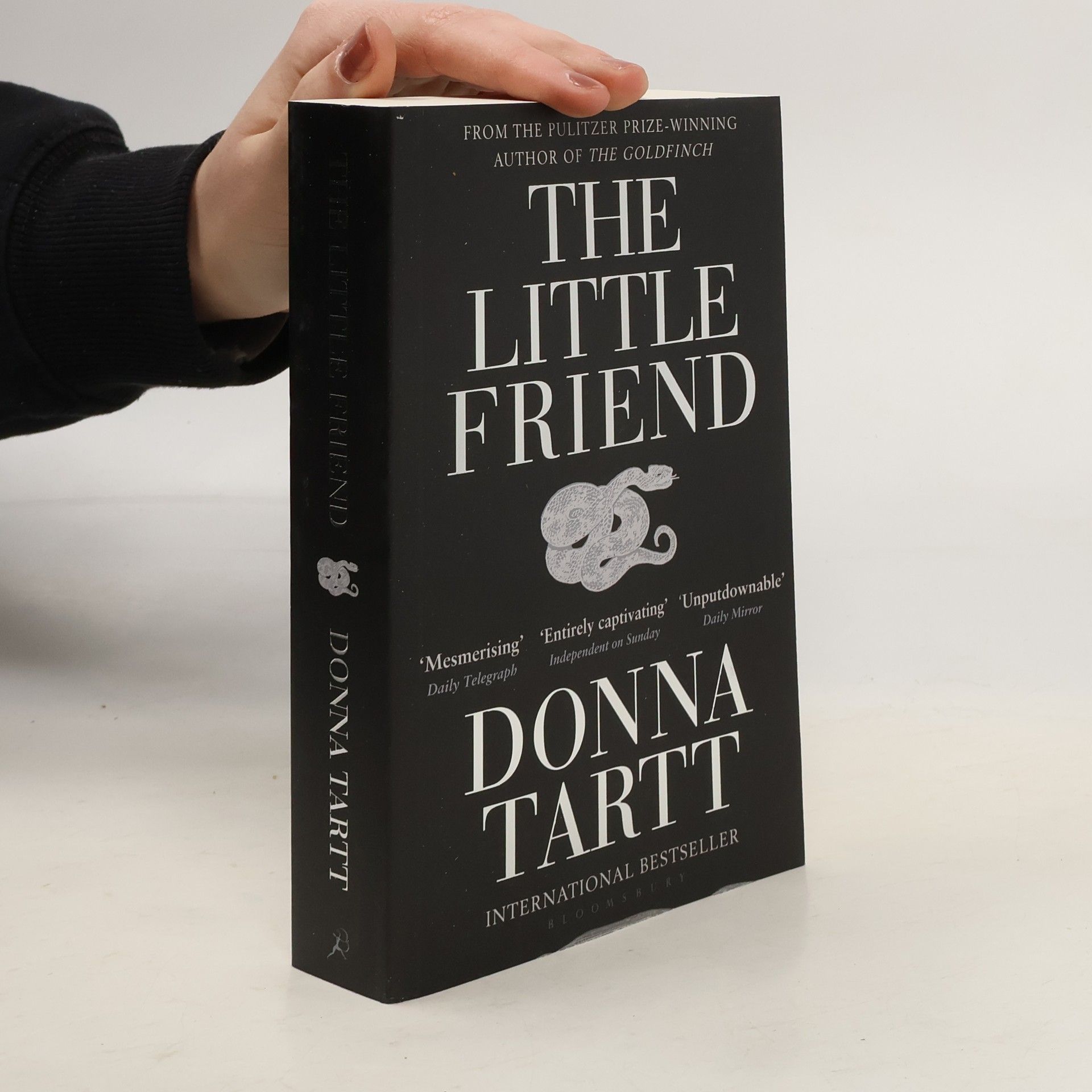 Donna Tartt The Little Friend