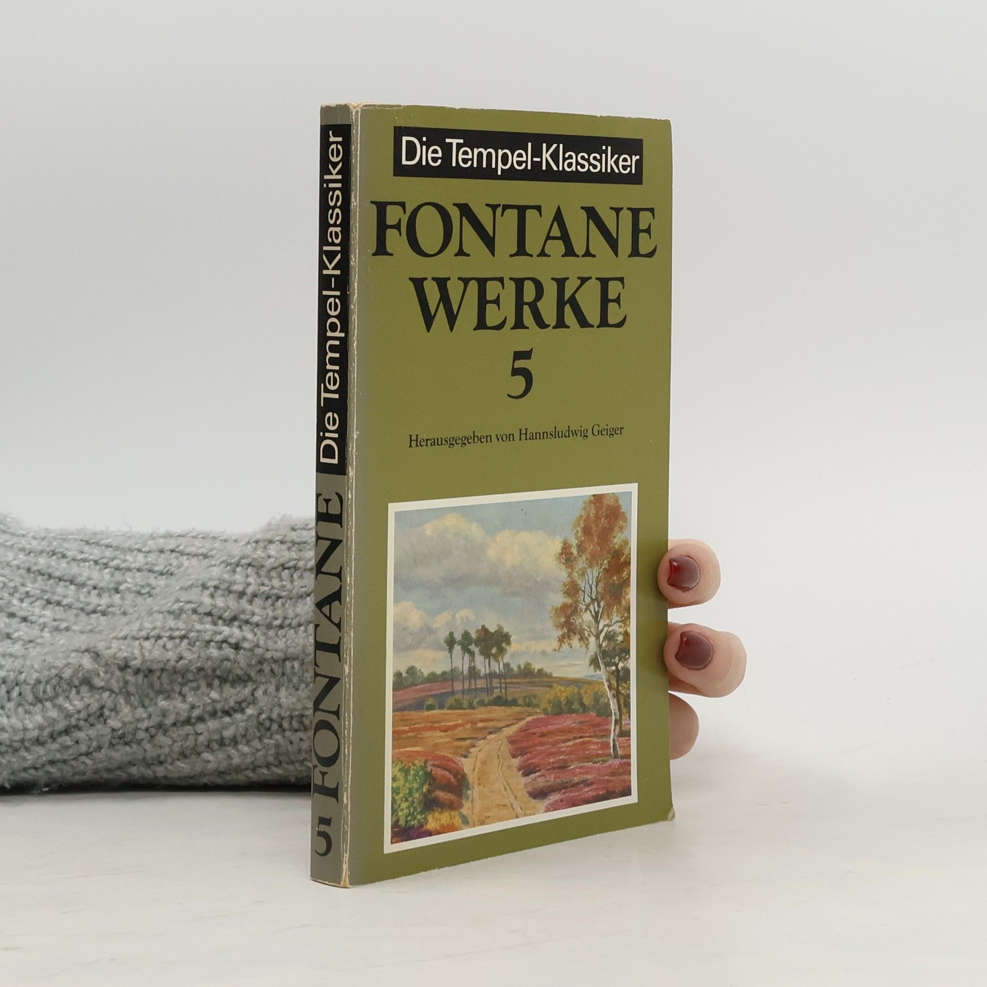 Theodor Fontane Werke 5