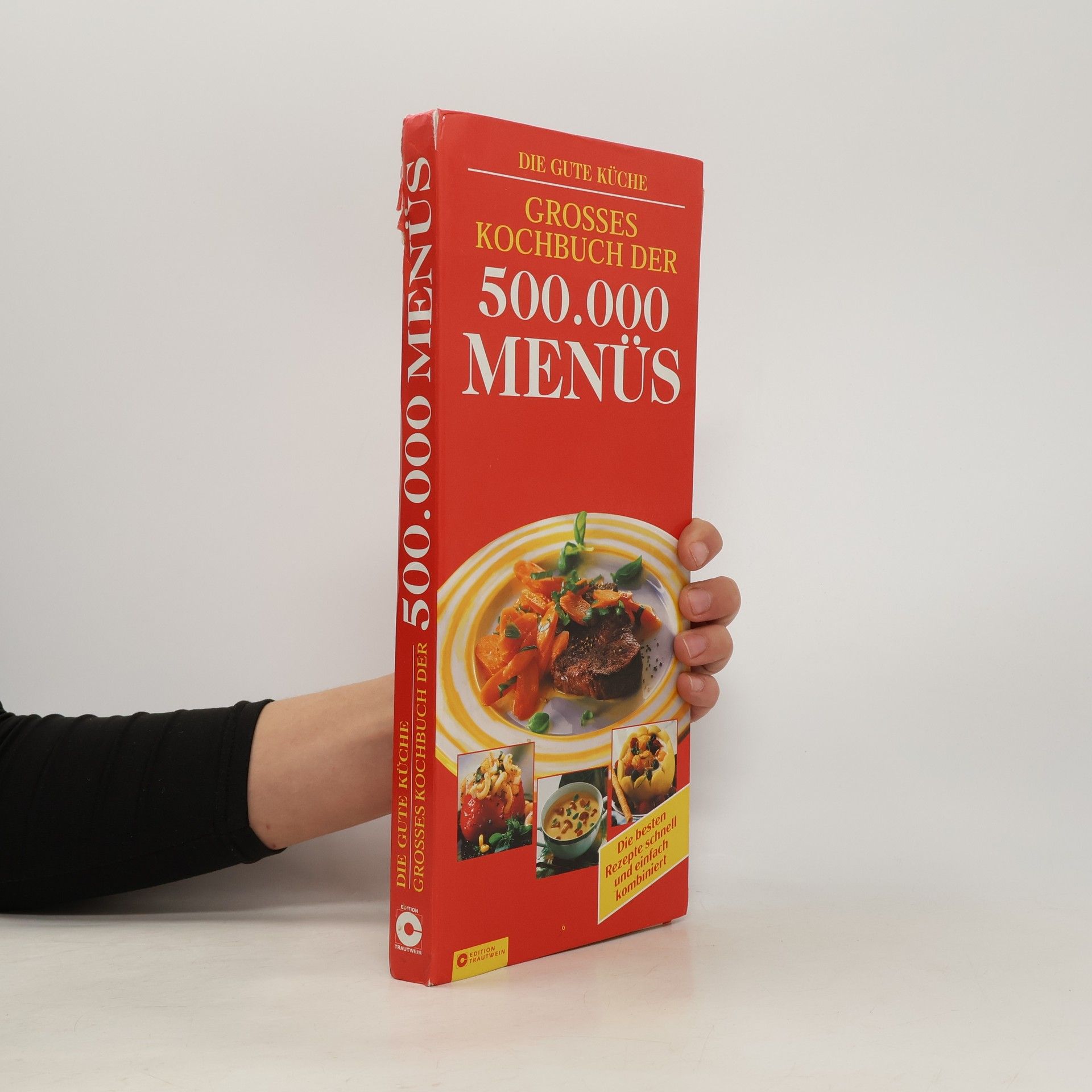 Großes Kochbuch der 500.000 Menüs