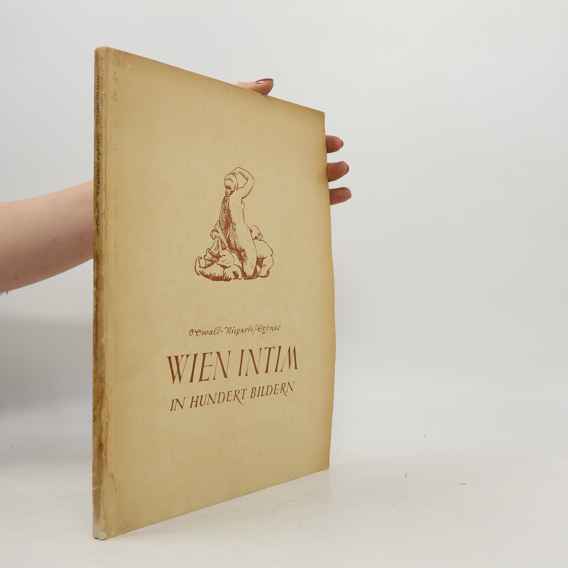 Wien Intim in Hundert Bildern