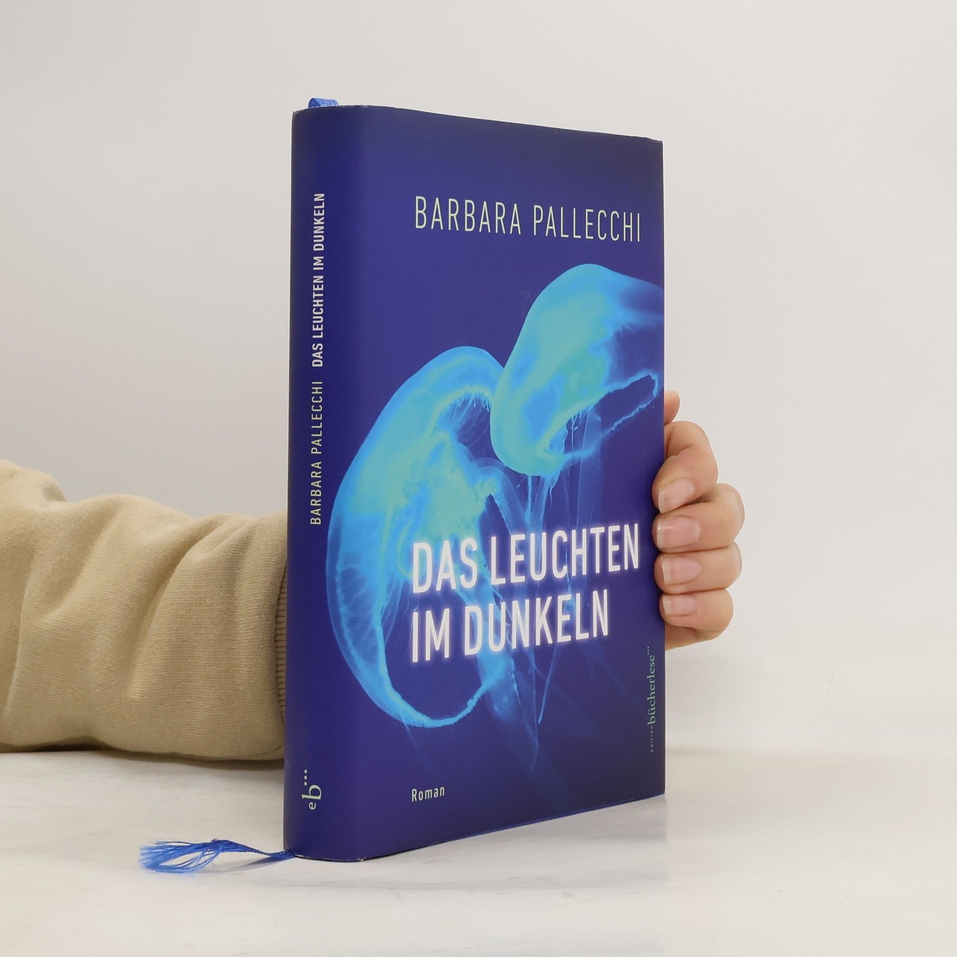 Barbara Pallecchi Das Leuchten im Dunkeln