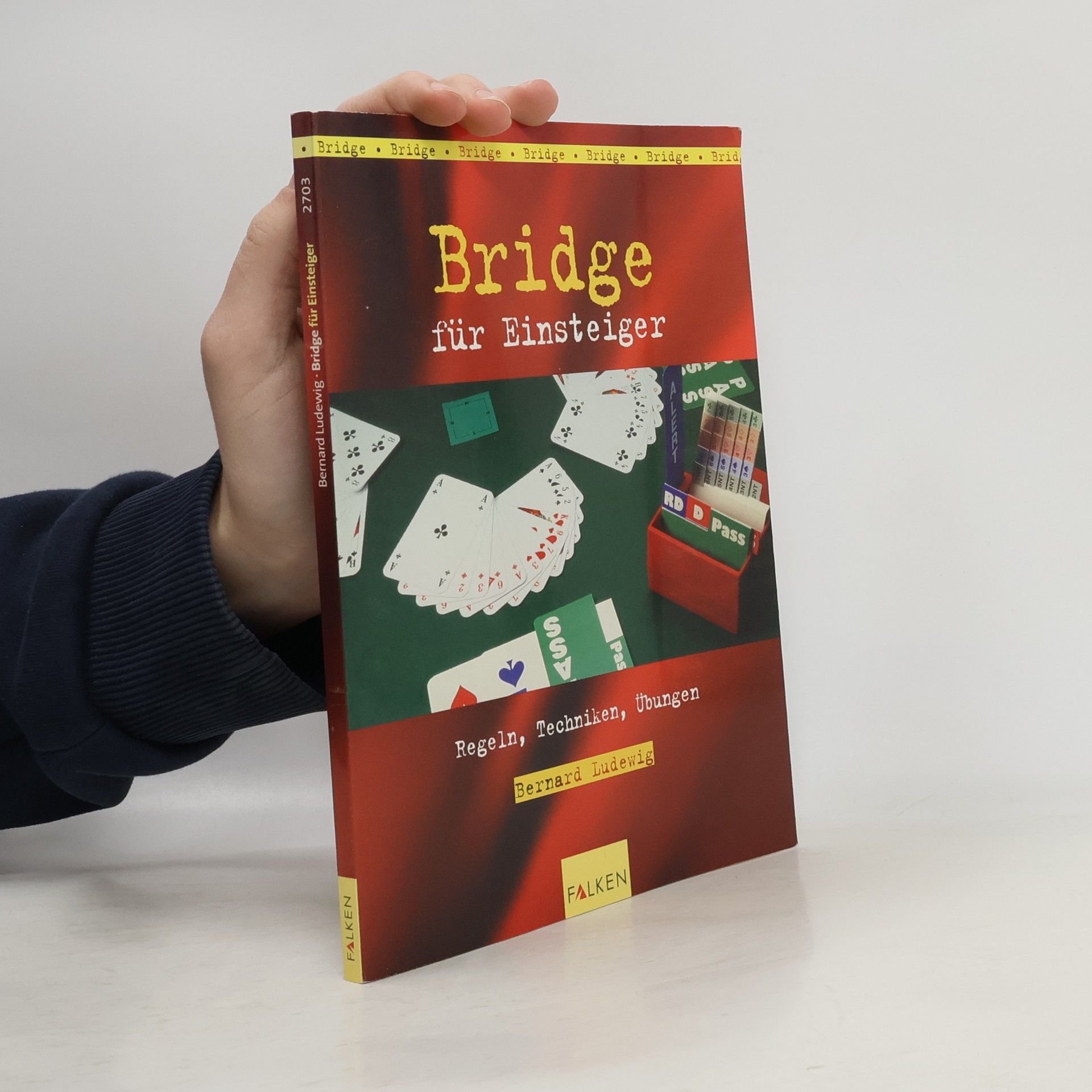 Bridge für Einsteiger