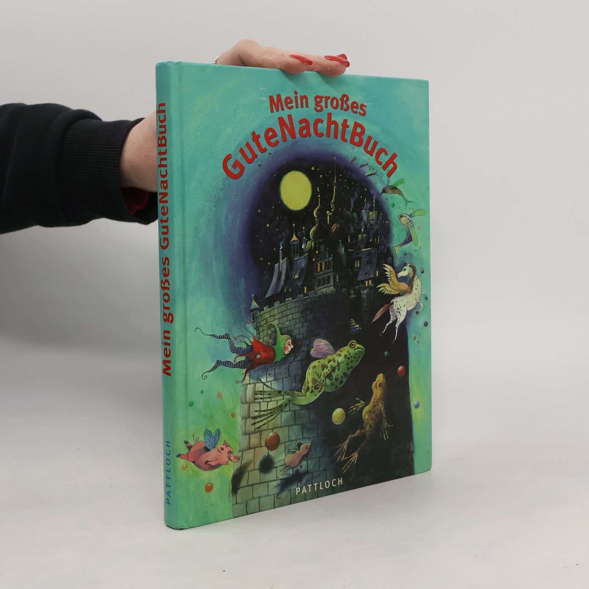 Carola Hoffmann Mein großes GuteNachtBuch