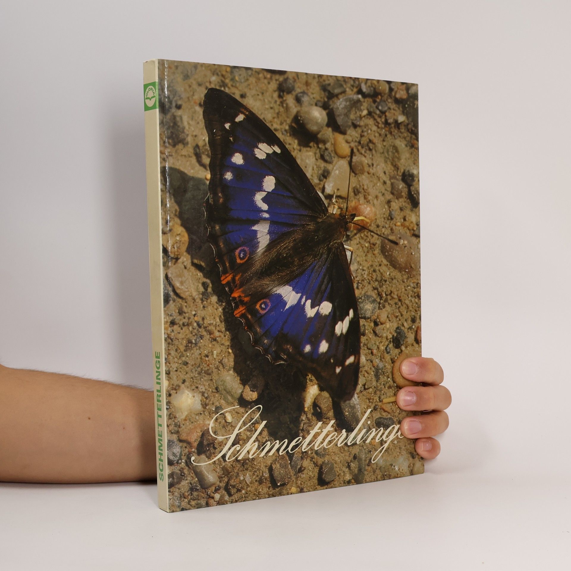 Collectif d'auteurs Schmetterlinge