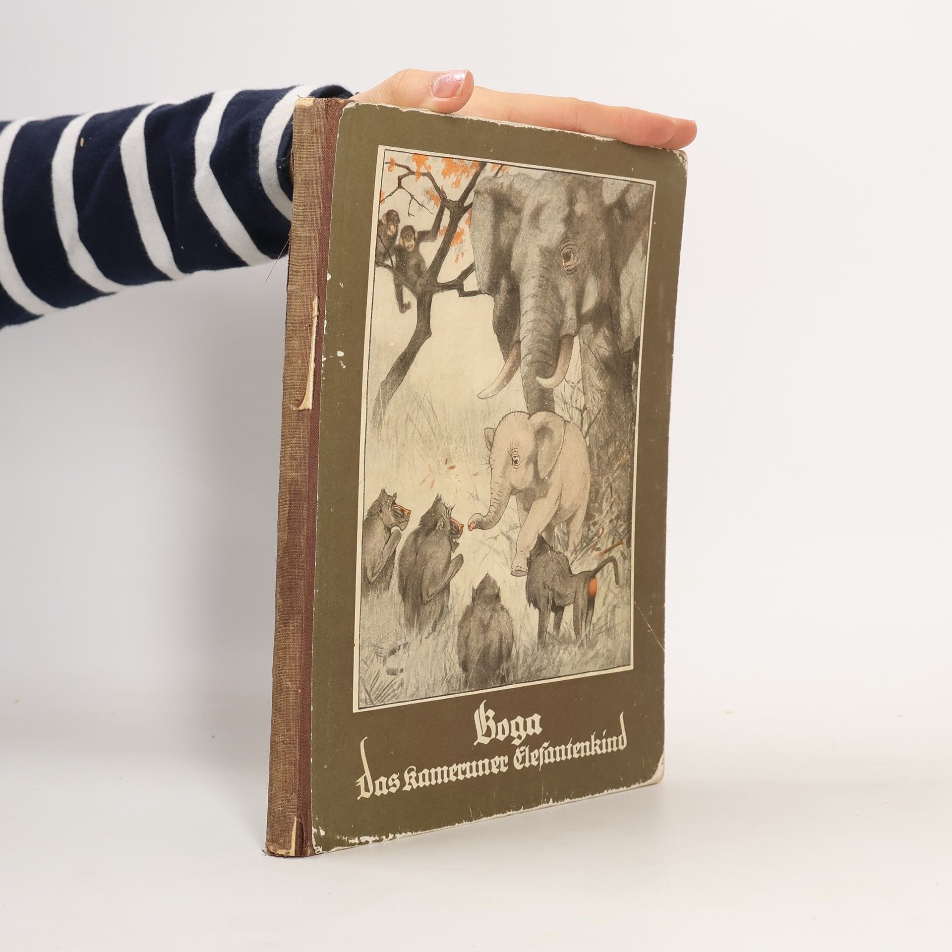 Katharina von Dombrowski Boga, das Kameruner Elefantenkind