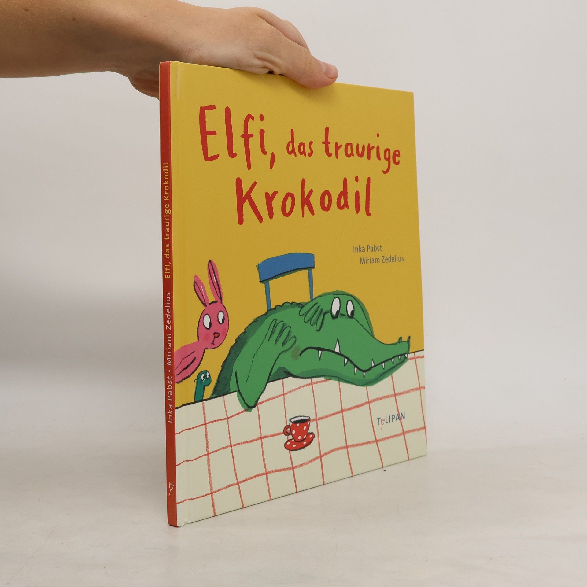 Inka Pabst Elfi, das traurige Krokodil