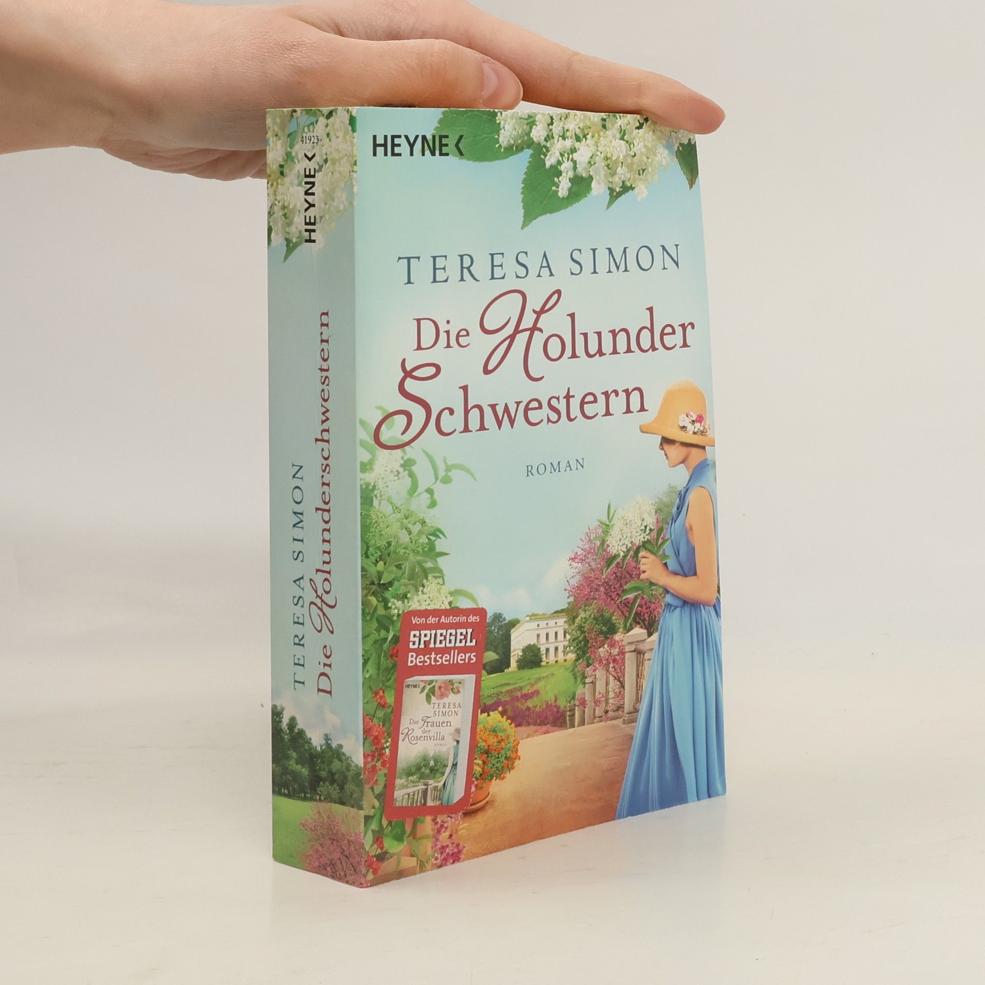 Brigitte Riebe Die Holunderschwestern