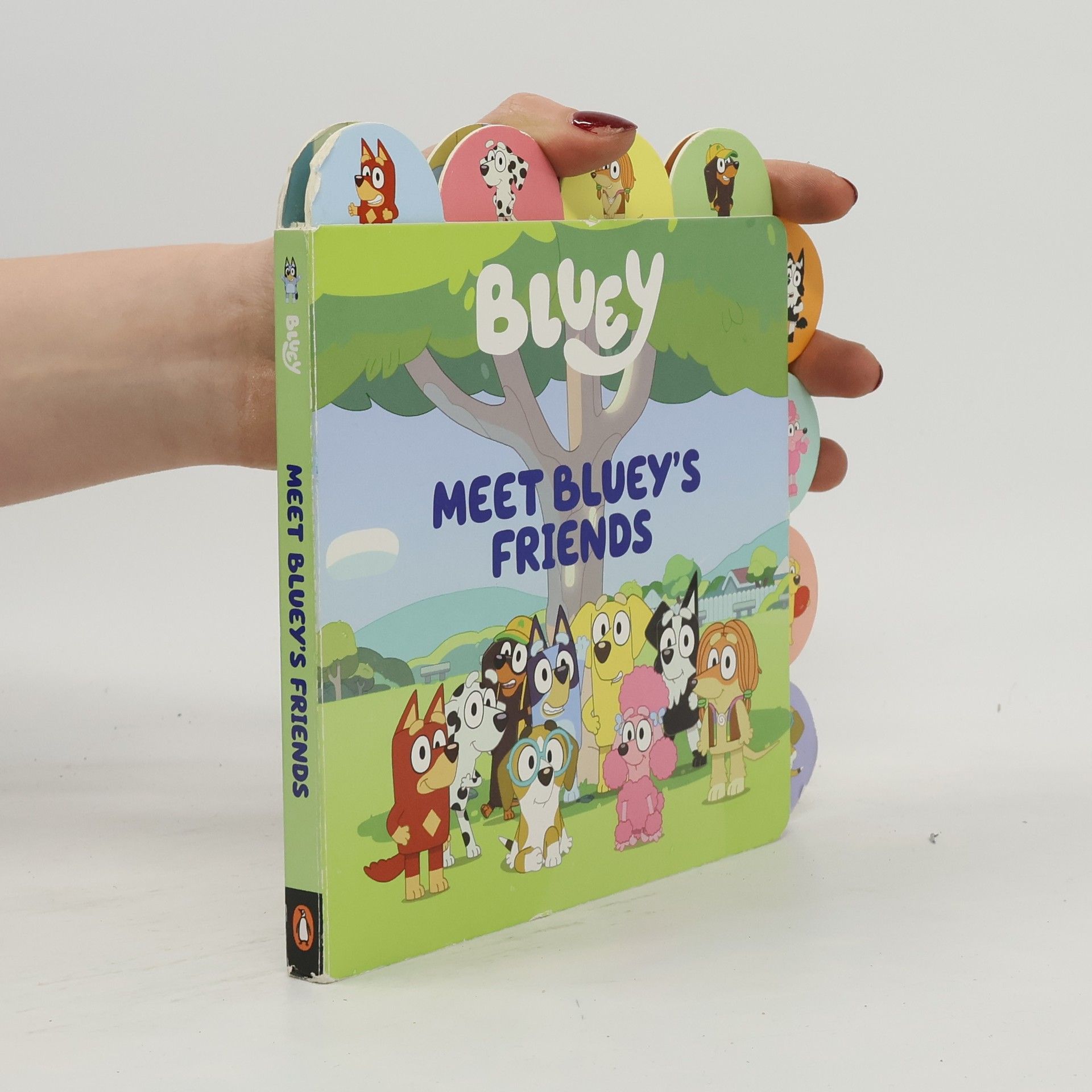 Meredith Rusu Meet Bluey's Friends