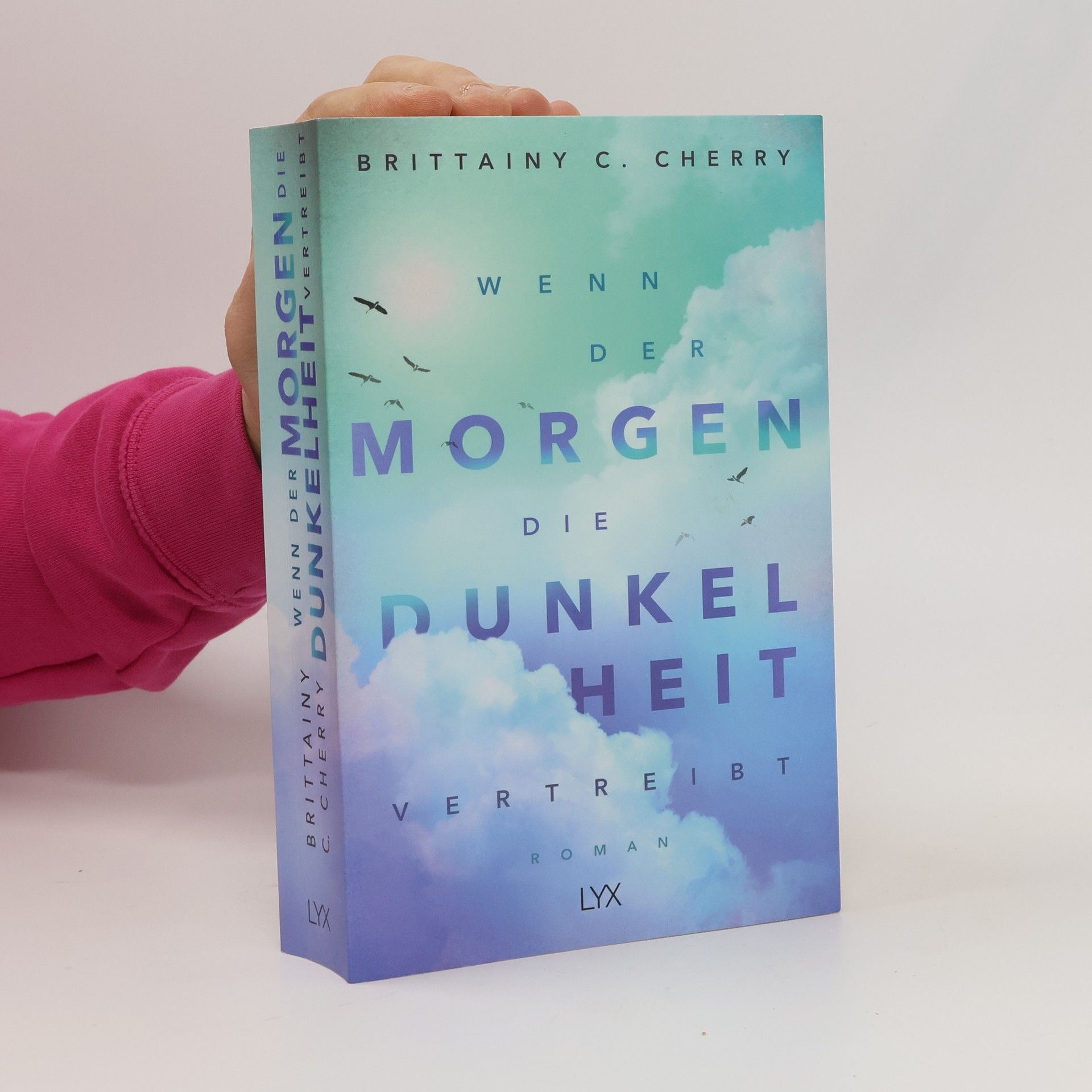 Brittainy C. Cherry Wenn der Morgen die Dunkelheit vertreibt