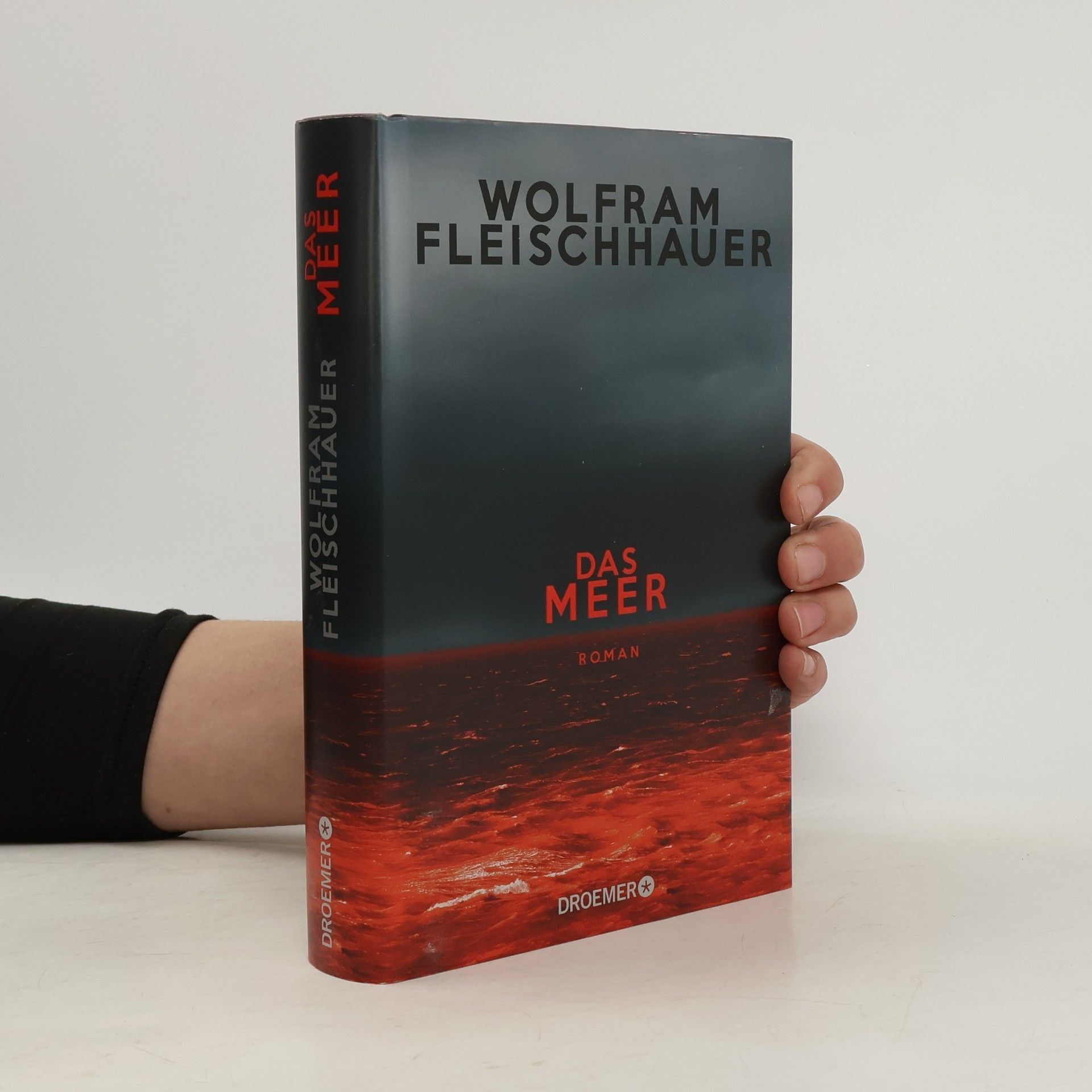 Wolfram Fleischhauer Das Meer