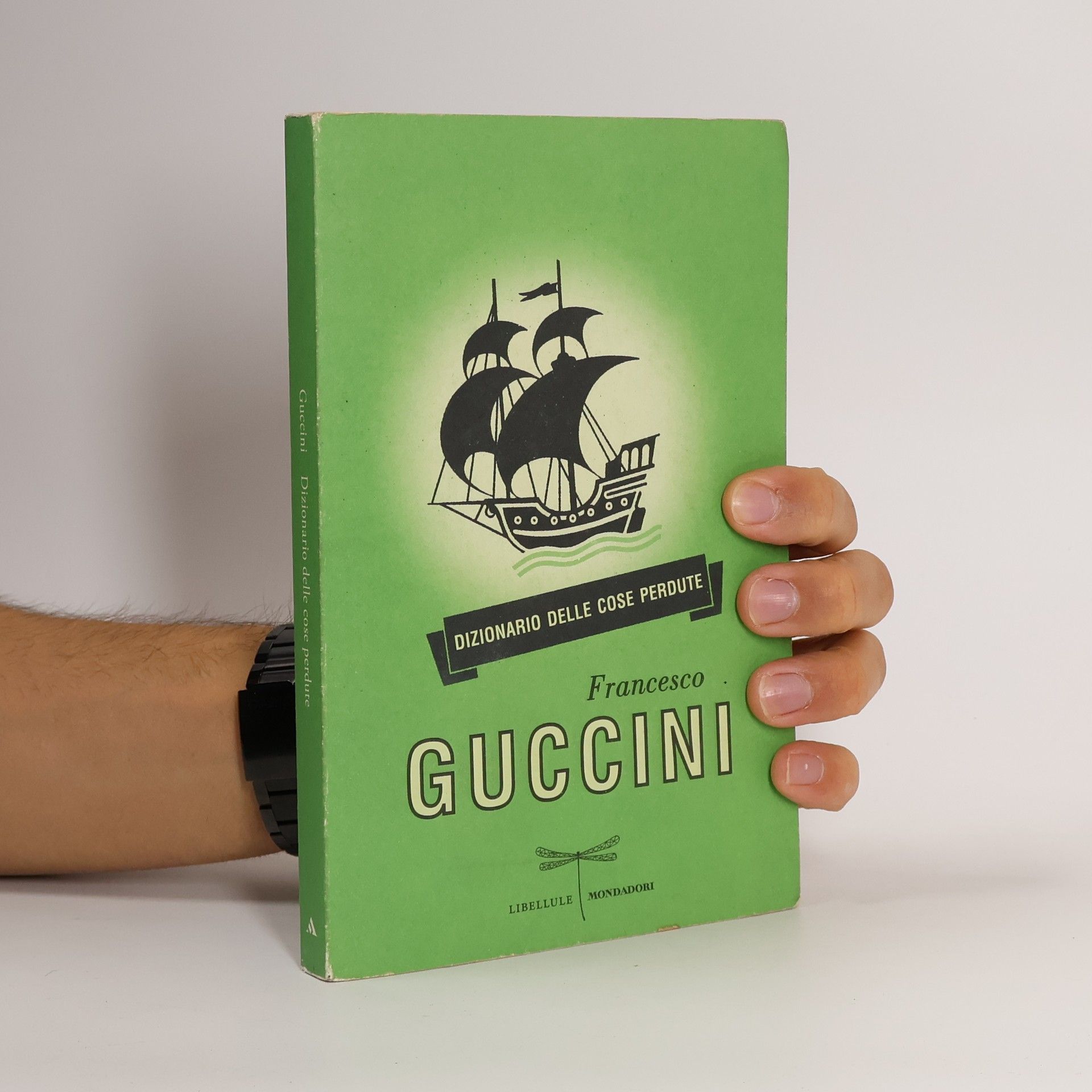 Dizionario delle cose perdute