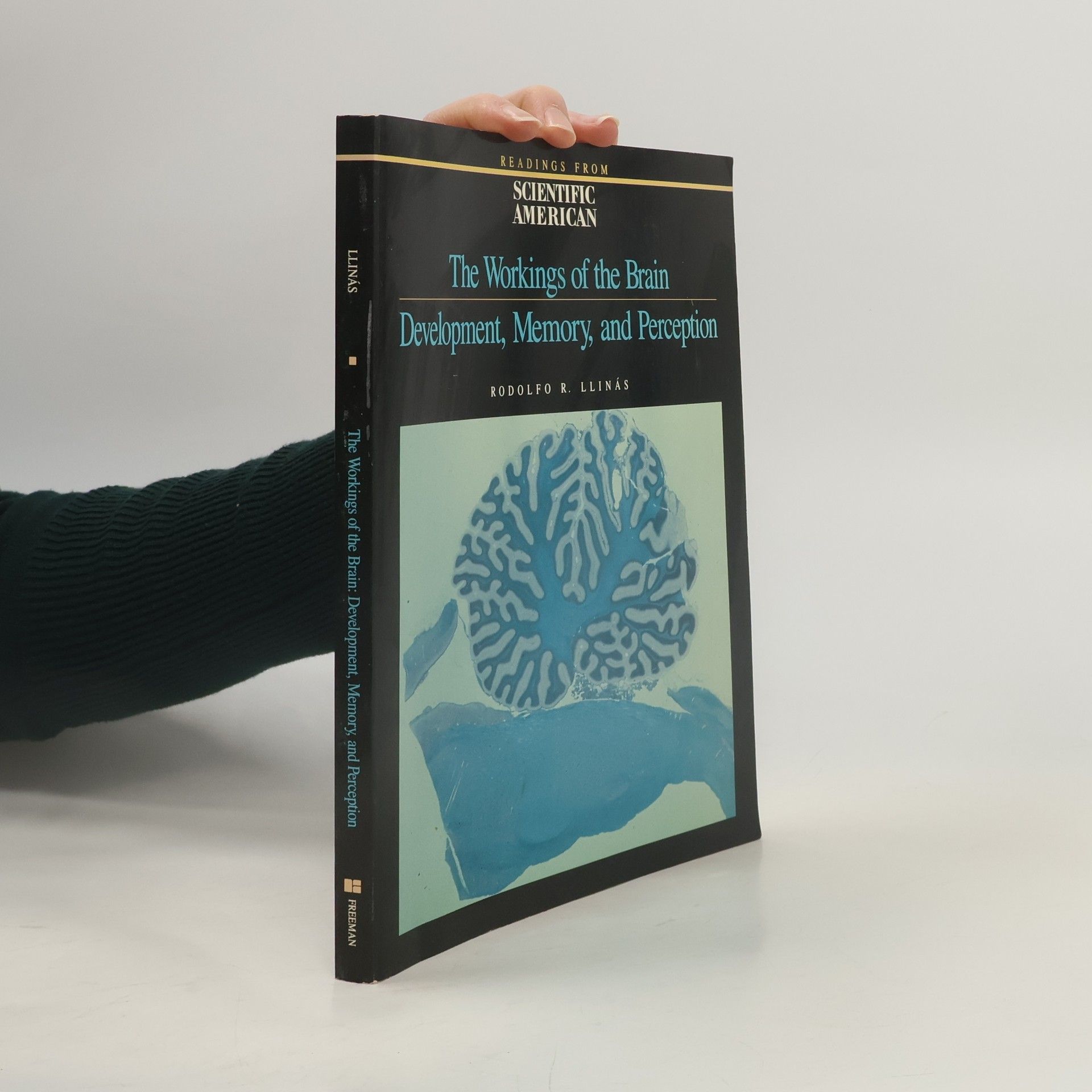 Rodolfo Riascos Llinás Readings from Scientific American: The Workings of the Brain